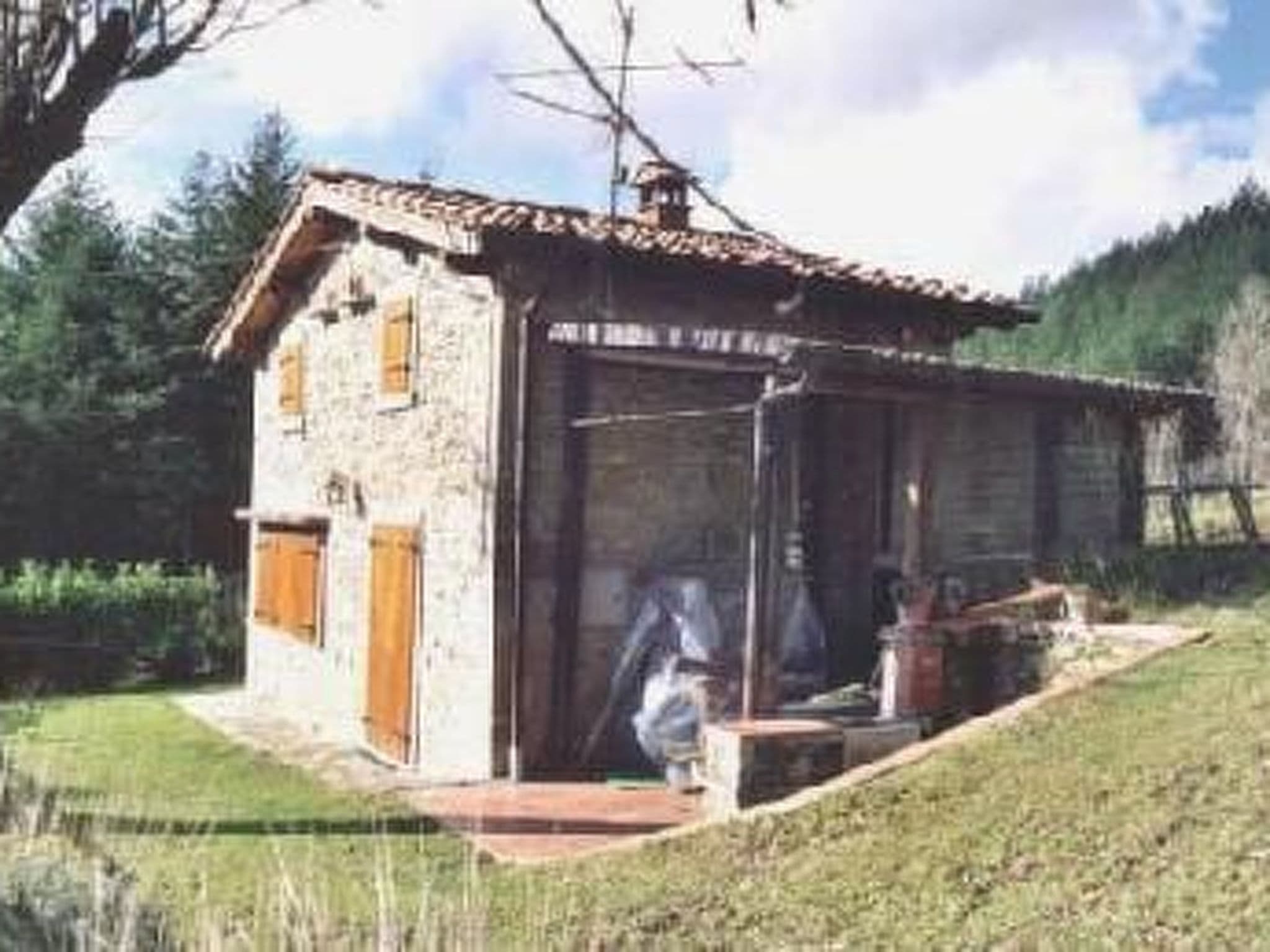 Gallery Image 11