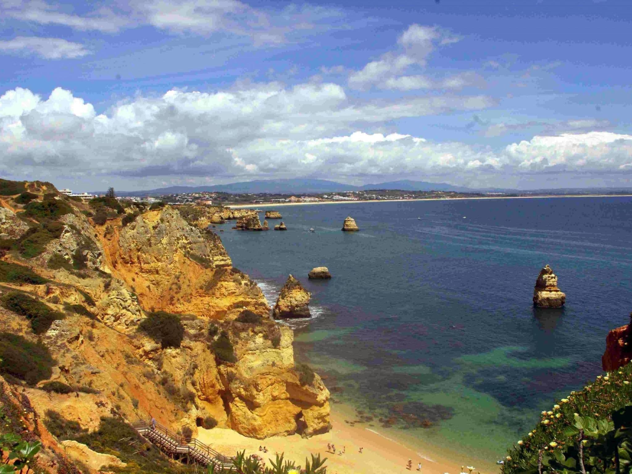 Gallery Image 45