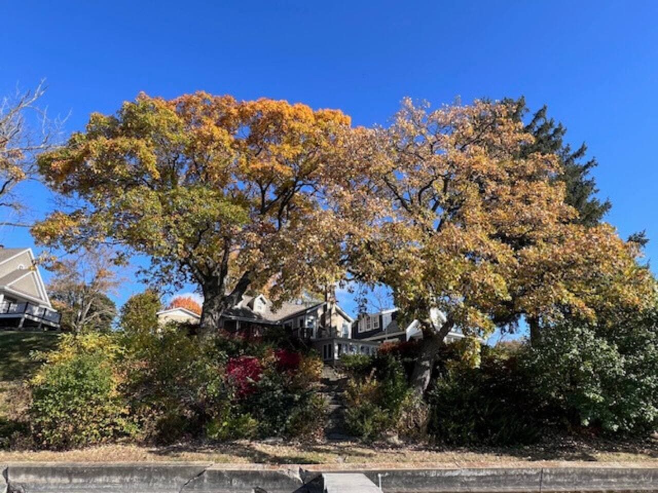 View of back of home from lake pier in autumn. Nice and woodsy to provide some privacy.