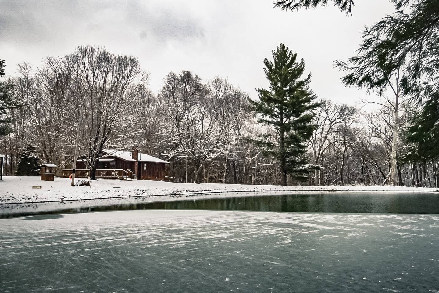 Pond