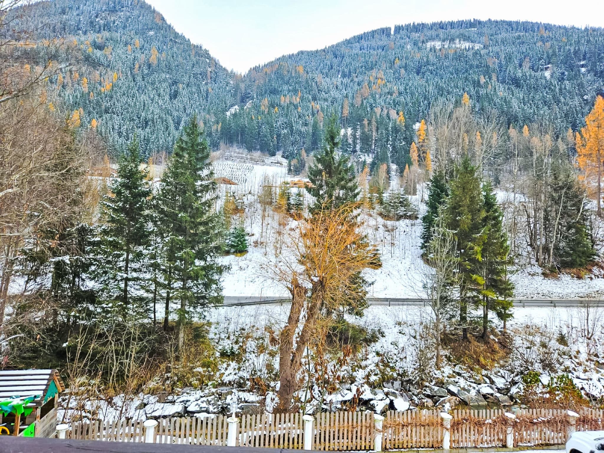 View
