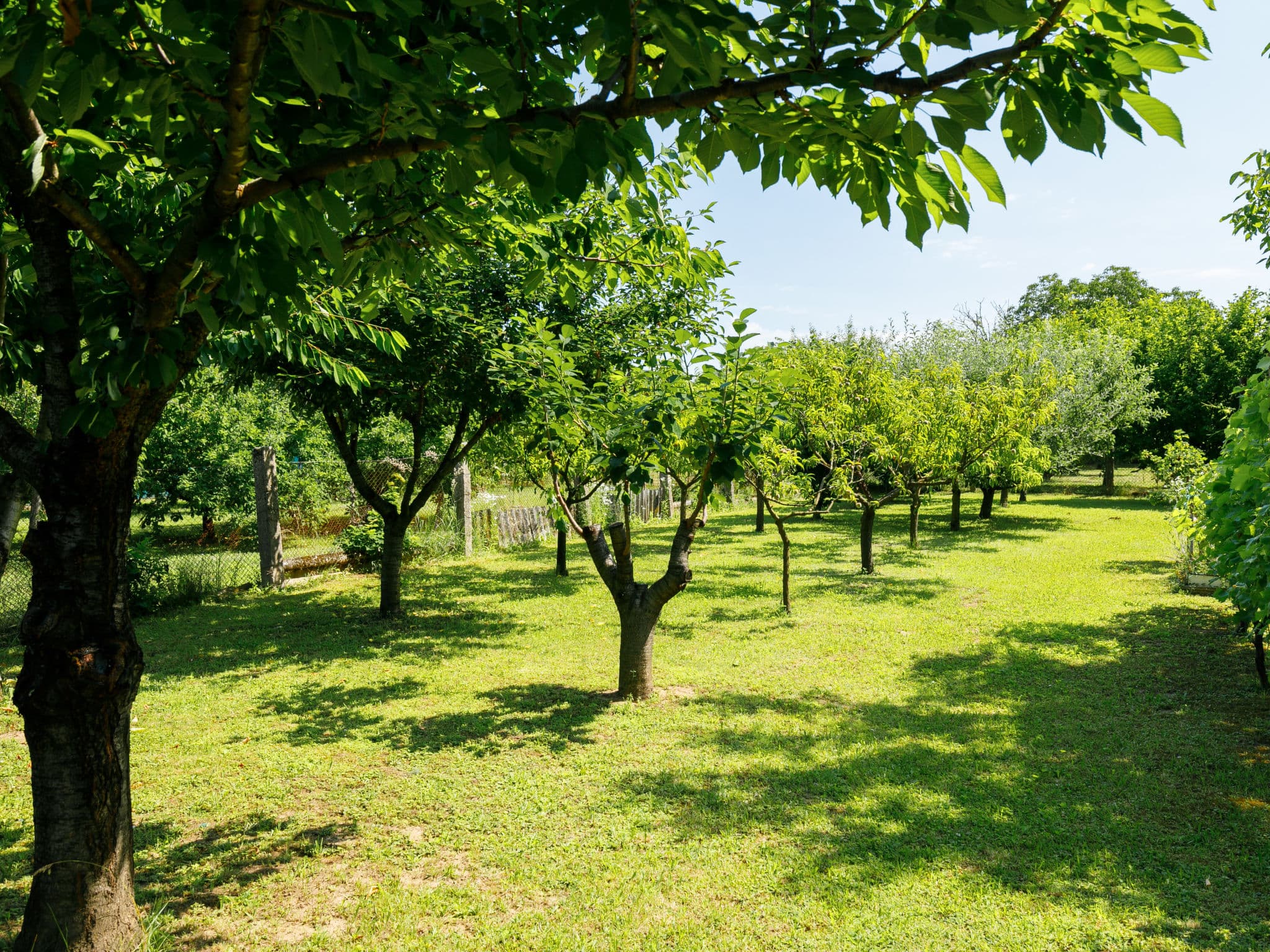 Outdoor