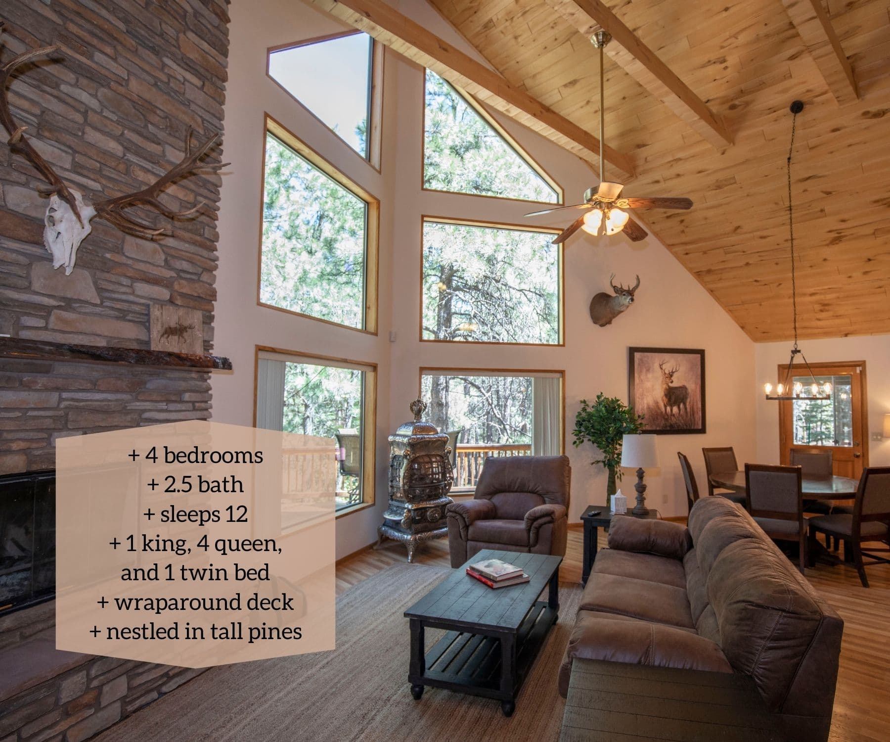 + 4 bedrooms + 2