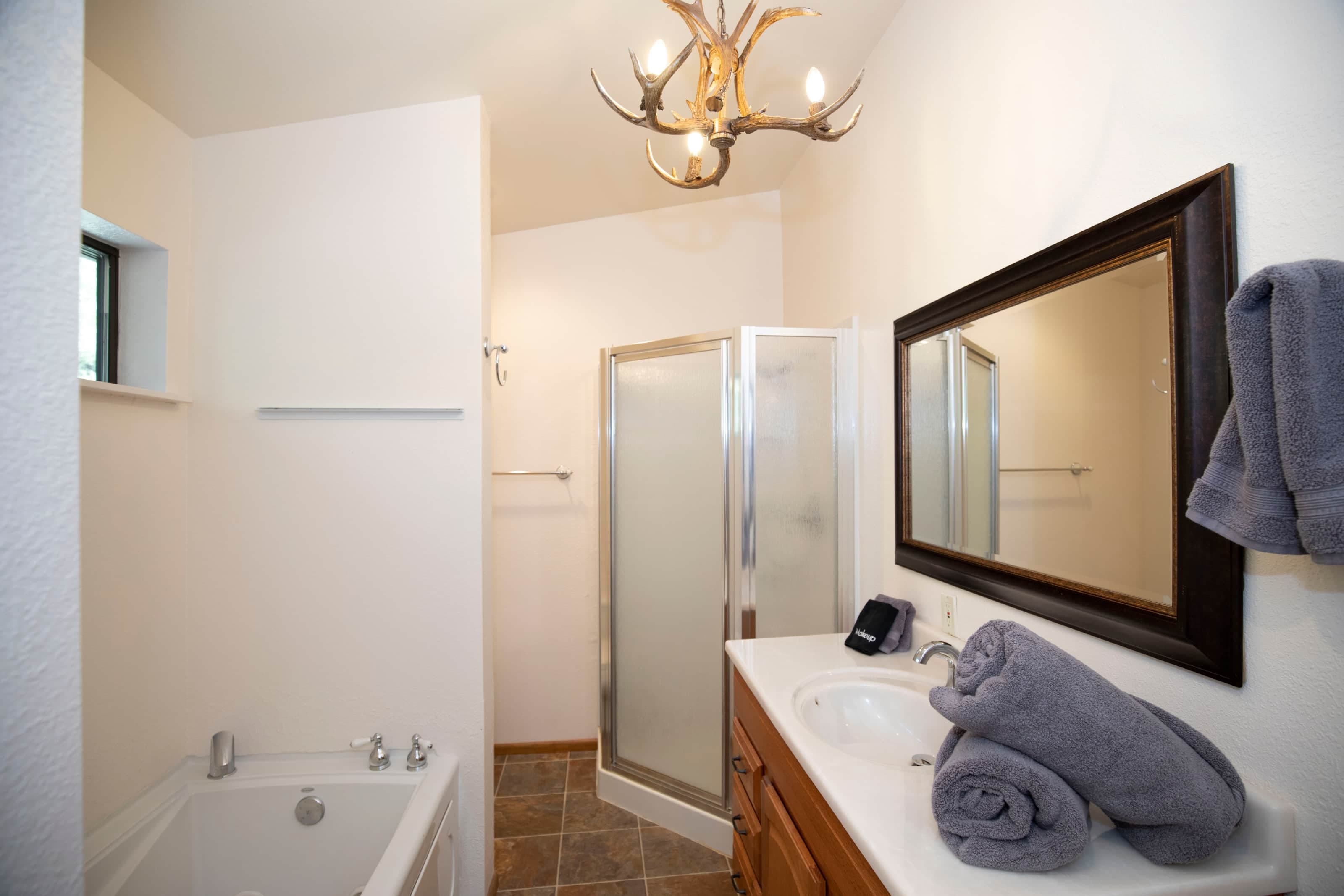 Bathroom - jacuzzi tub & shower