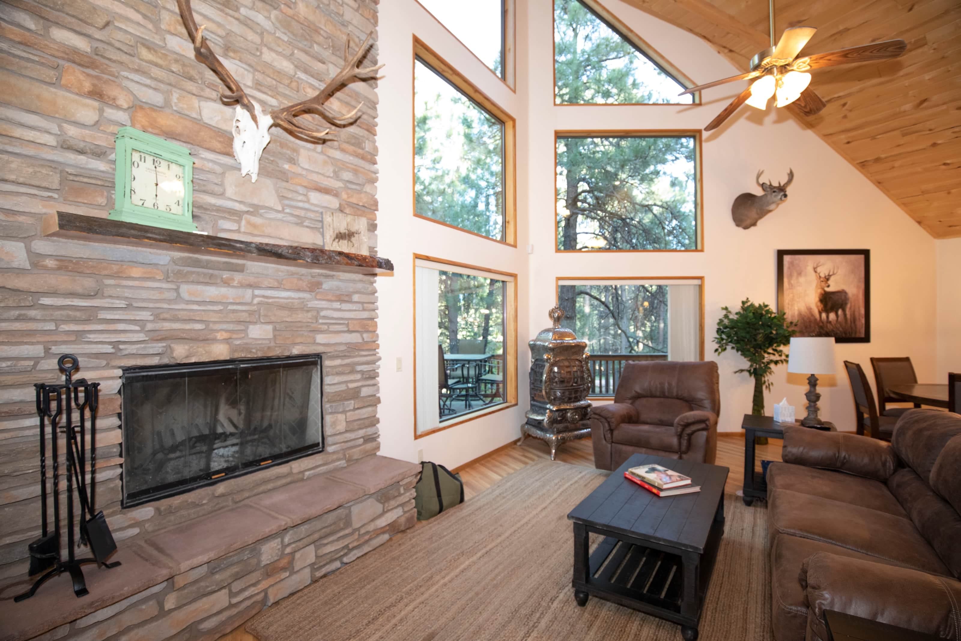 fireplace in living space