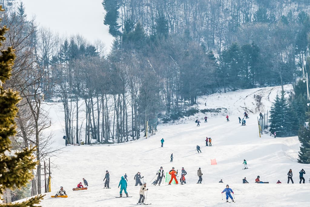 Ski