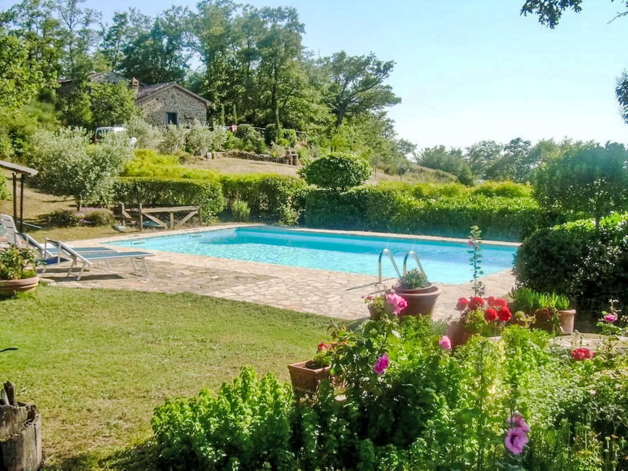 Pool Outdoor