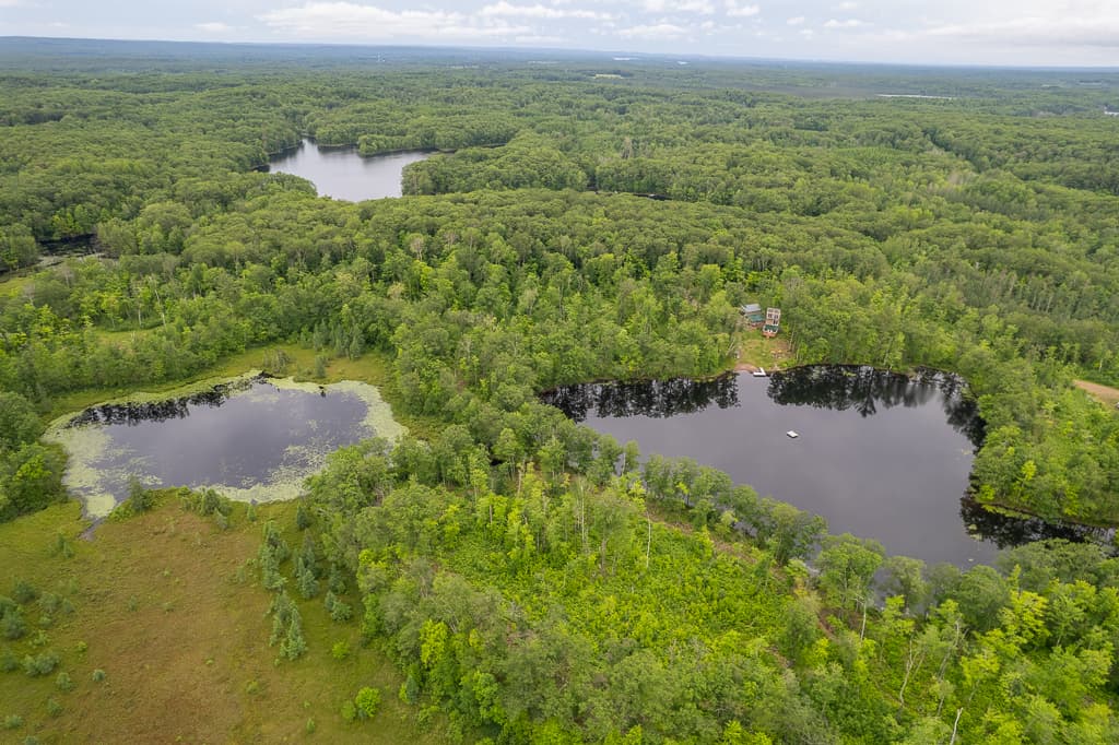 Birchwood drone-4