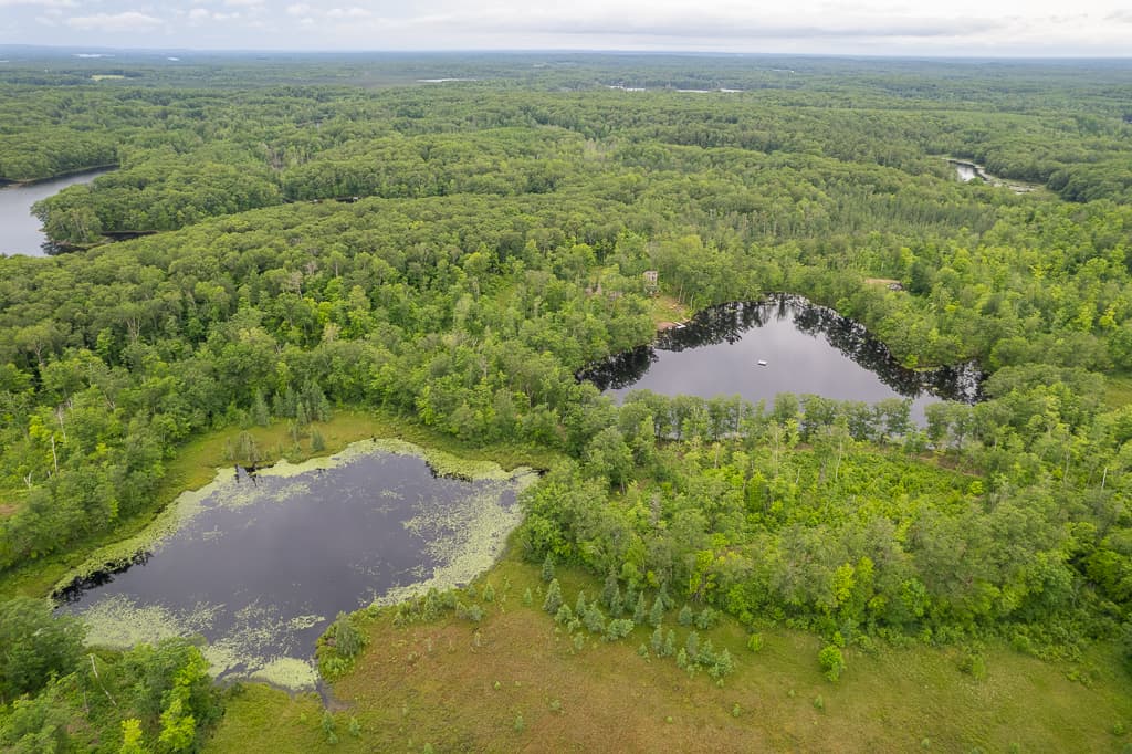Birchwood drone-5