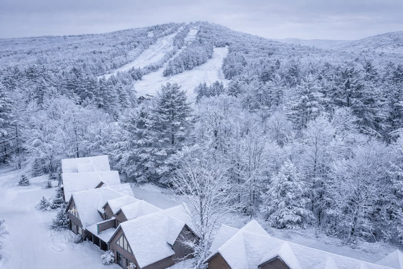 Alpine Sky | Walk to Cranmore & Downtown, Hot Tub