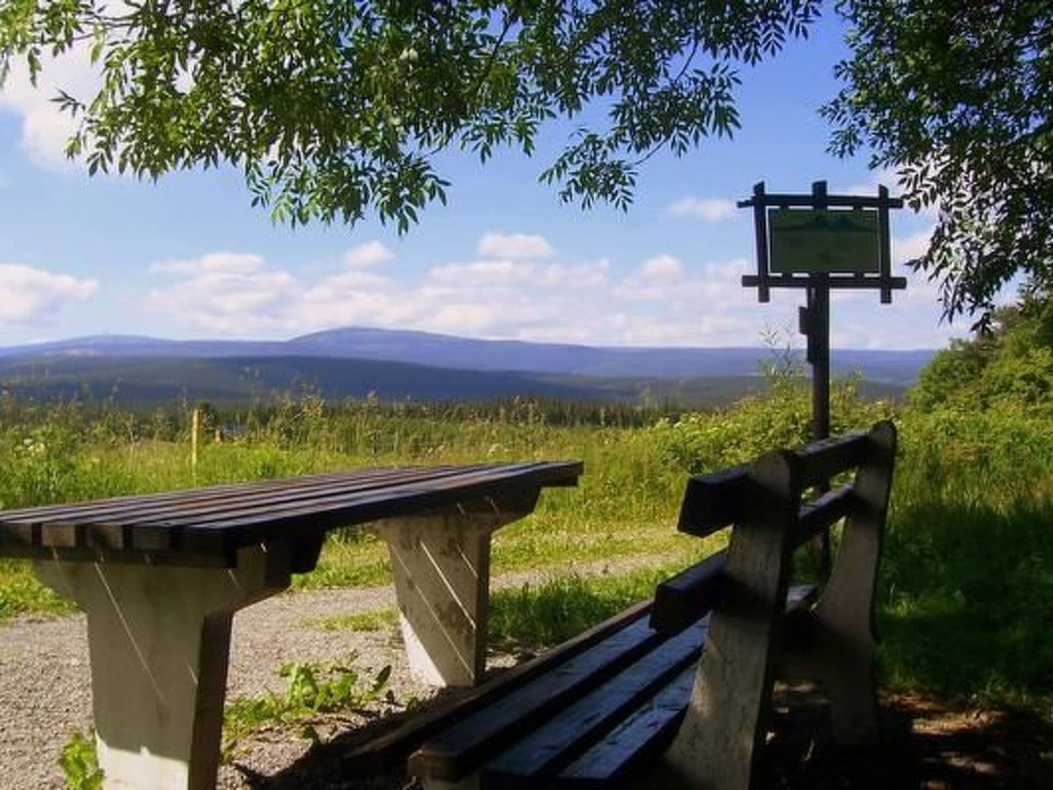 View
