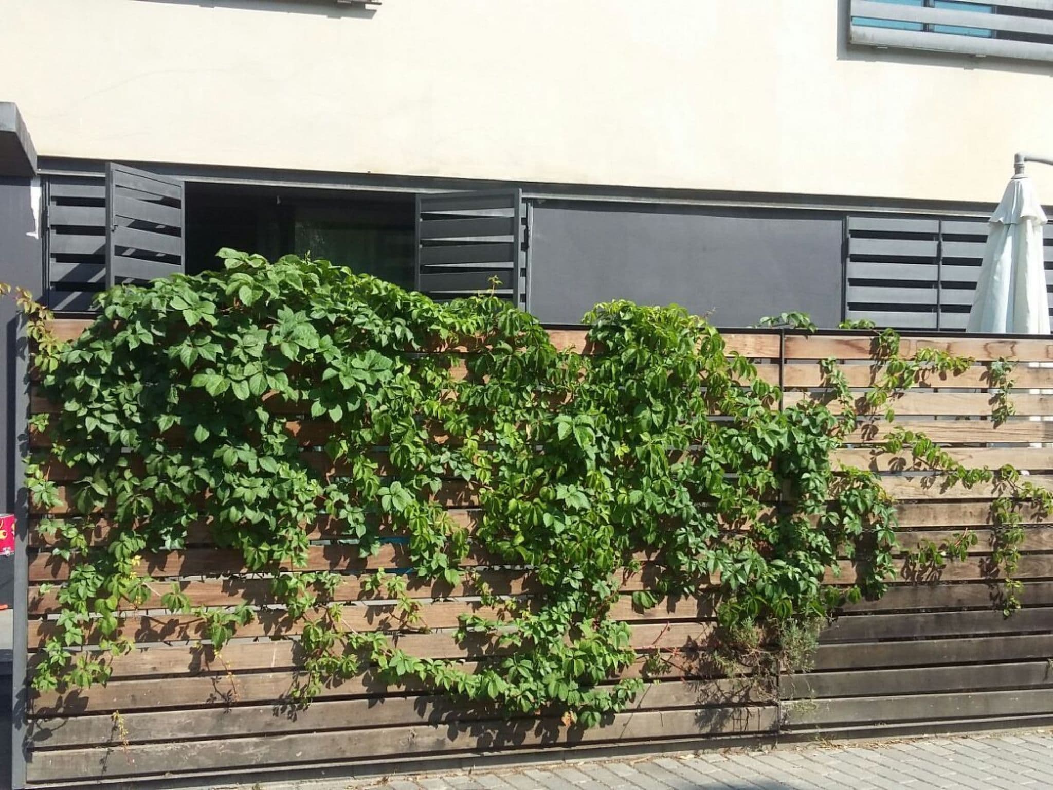 Gallery Image 20