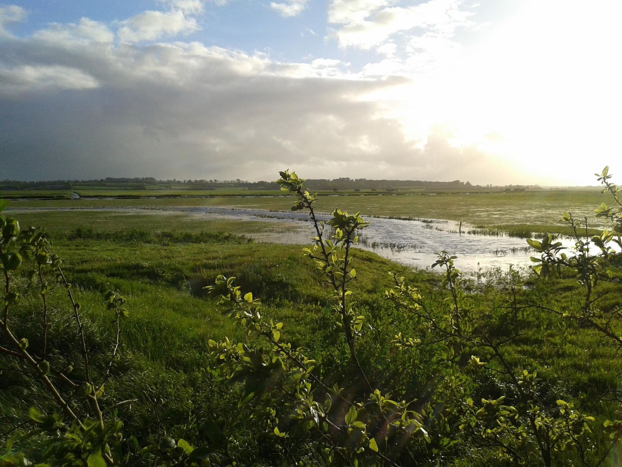 Gallery Image 29