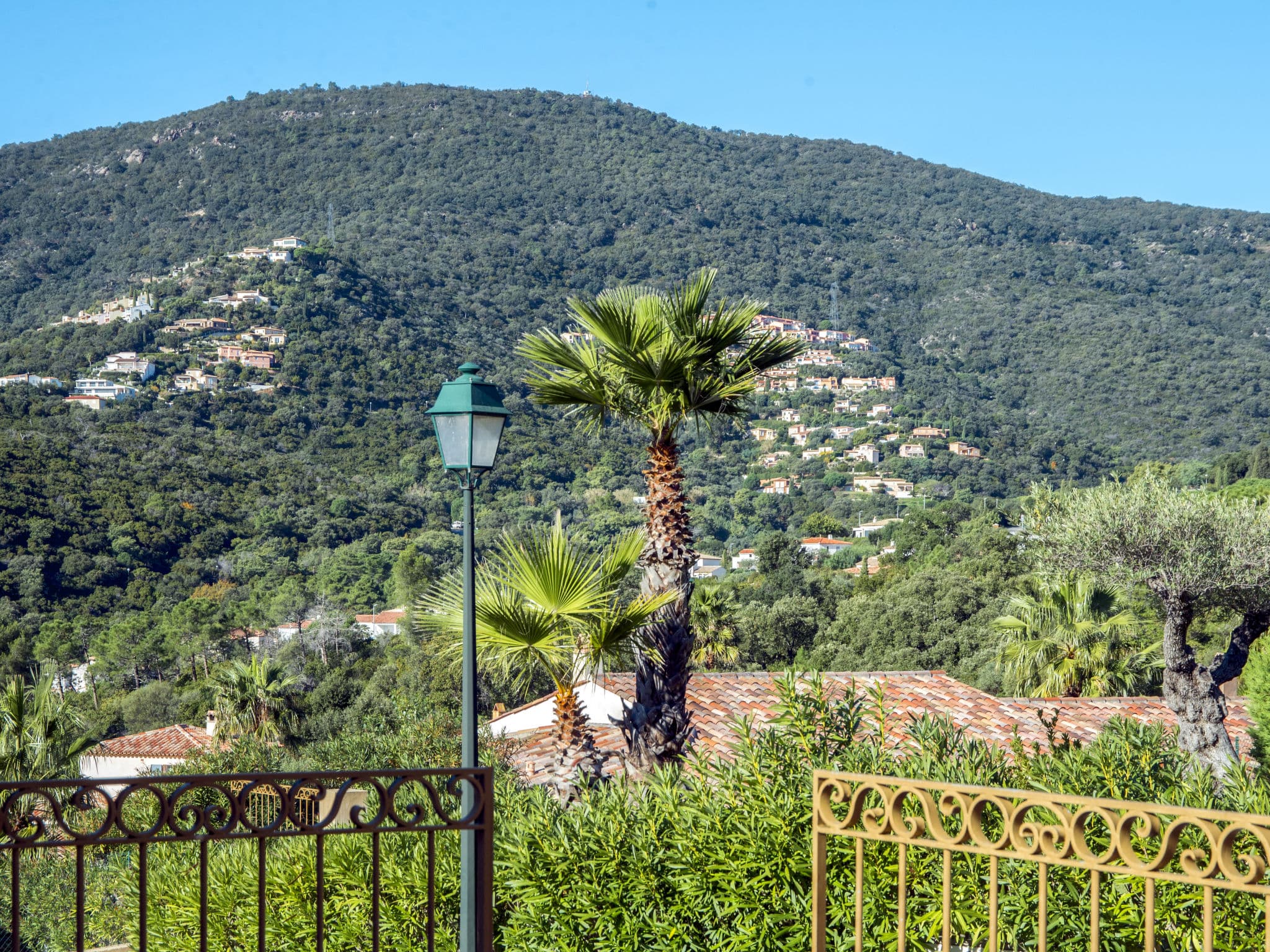 View