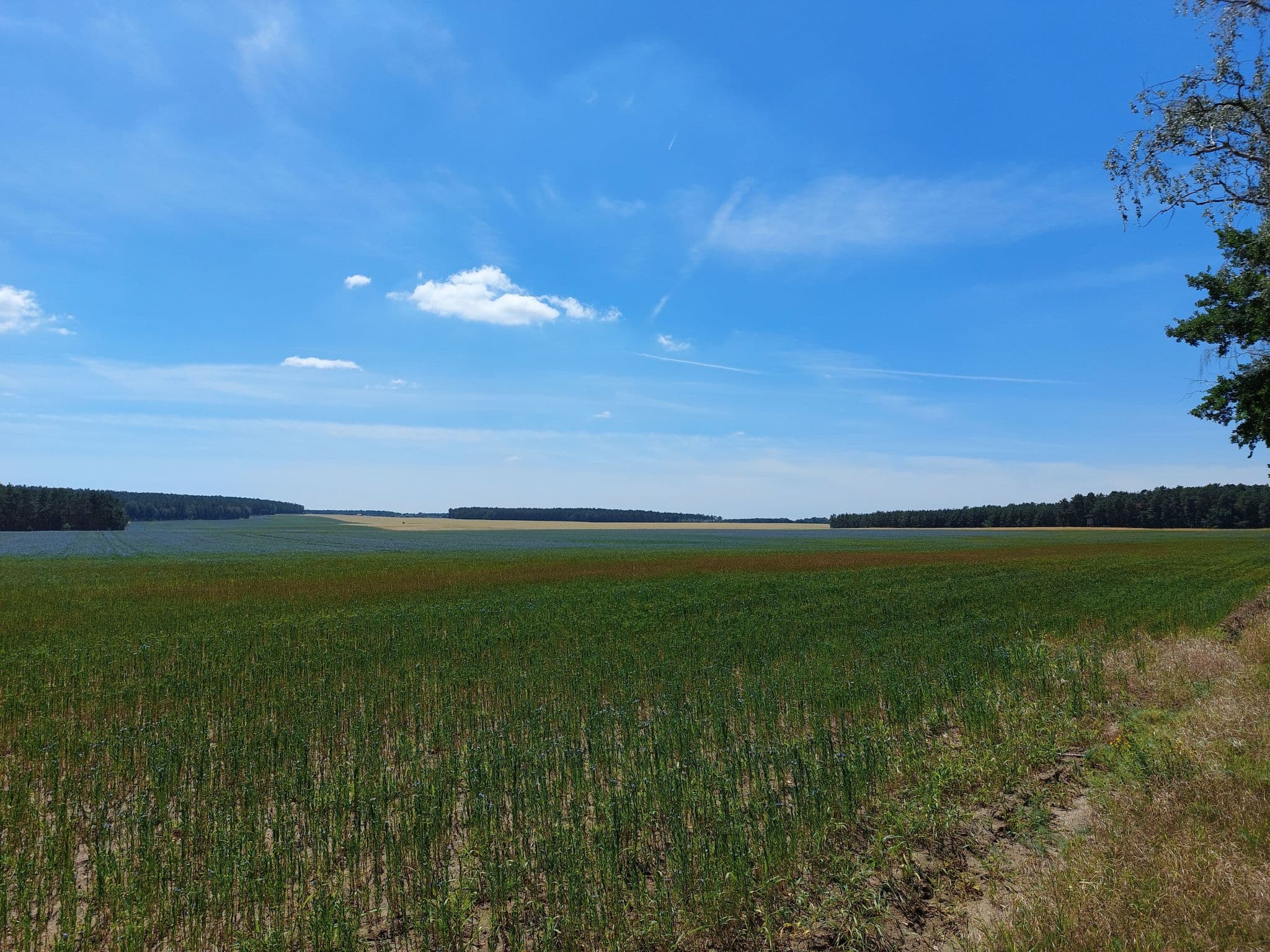 View