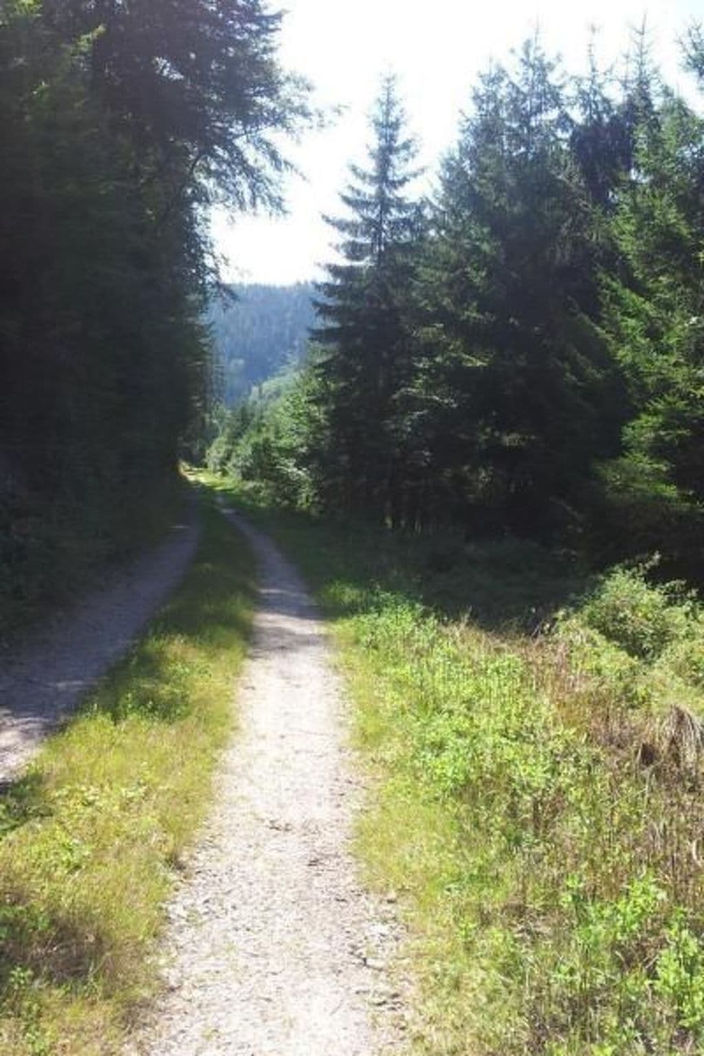 Gallery Image 26
