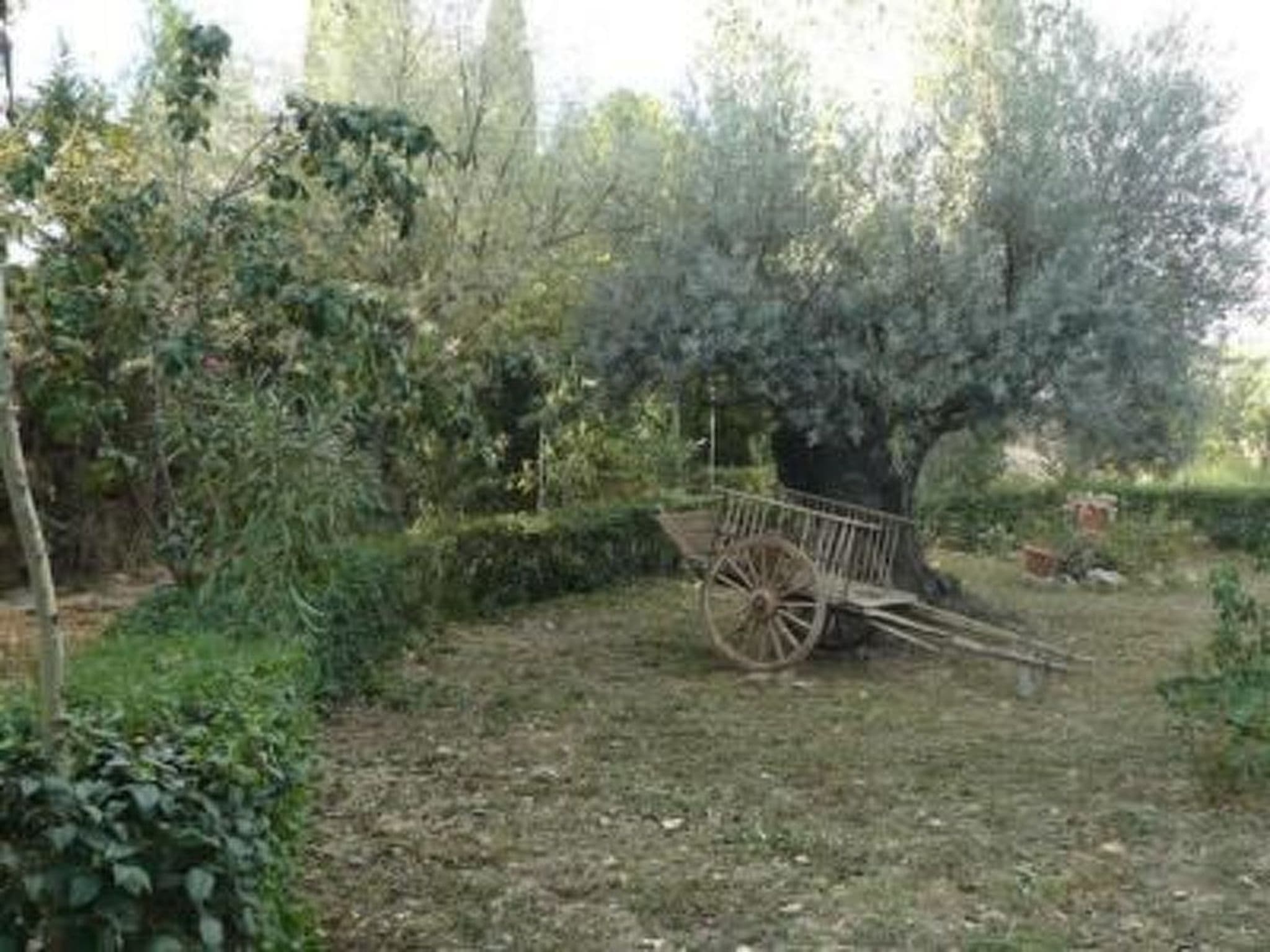 Gallery Image 14