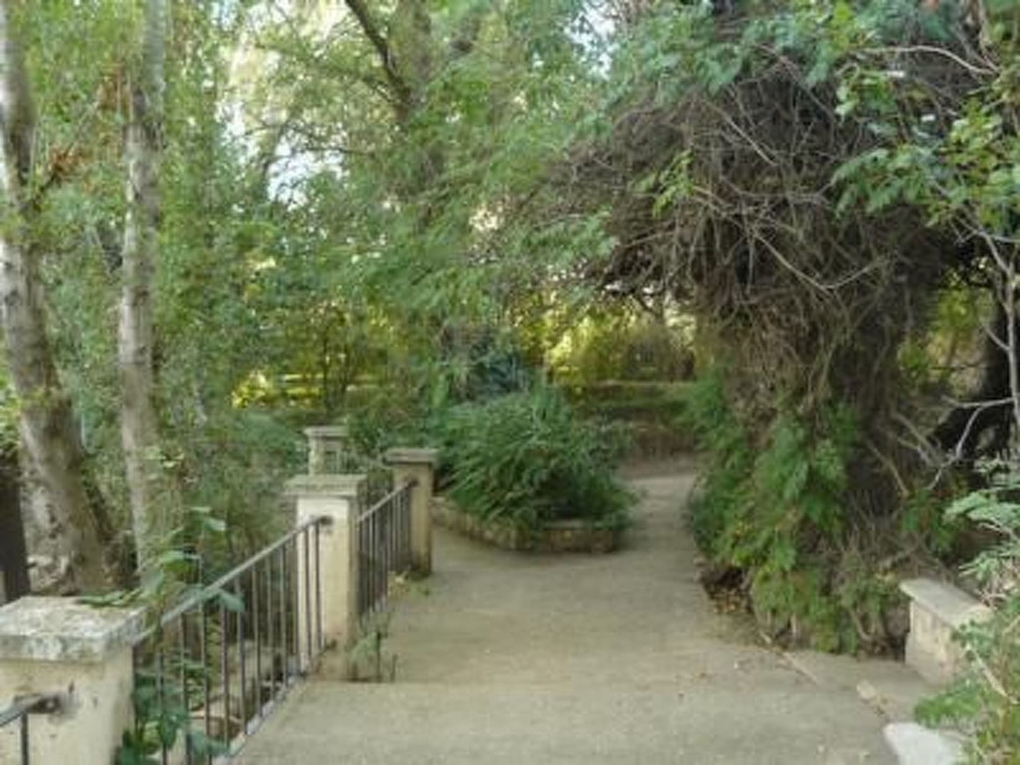 Gallery Image 25