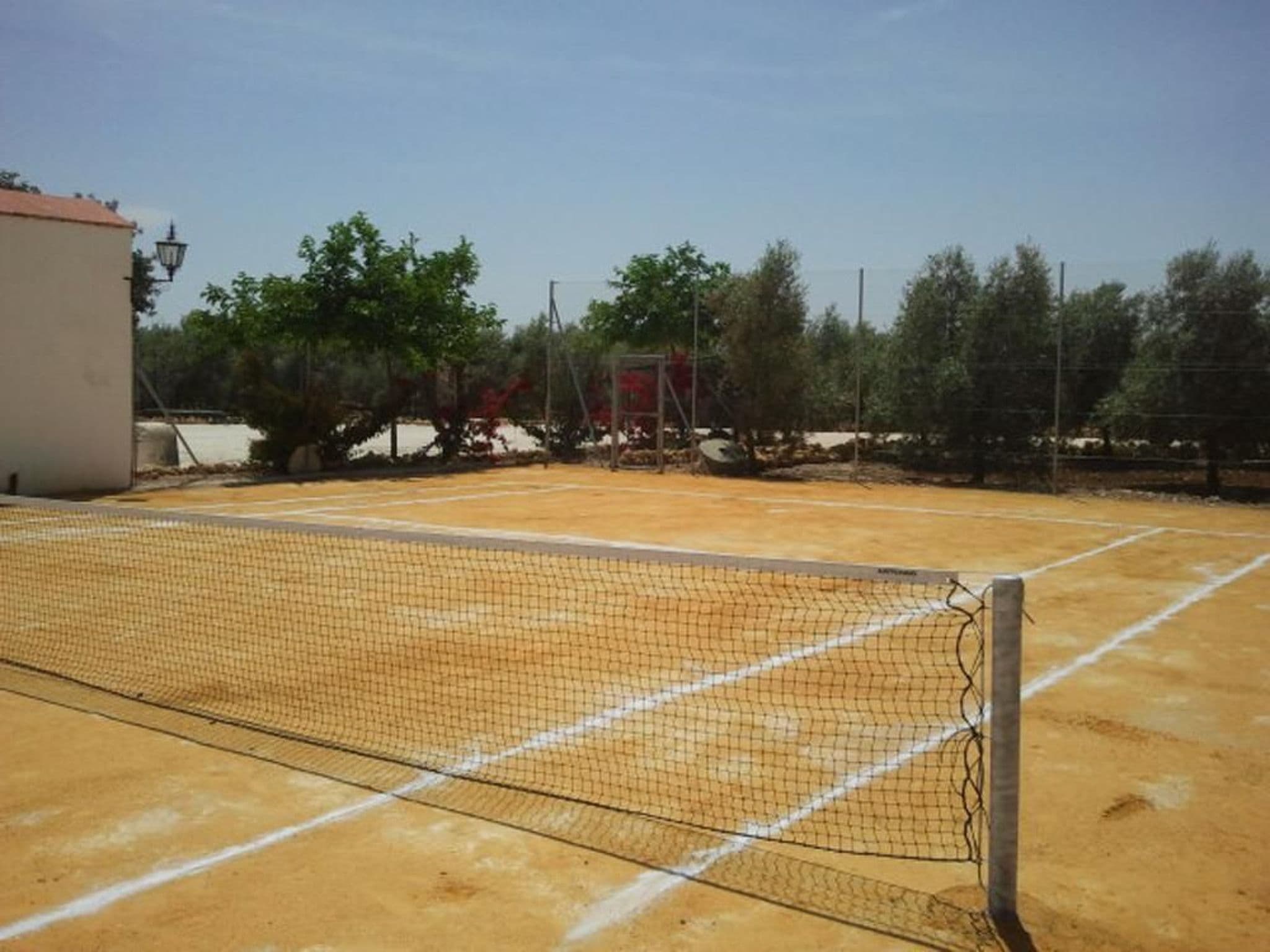 Gallery Image 21