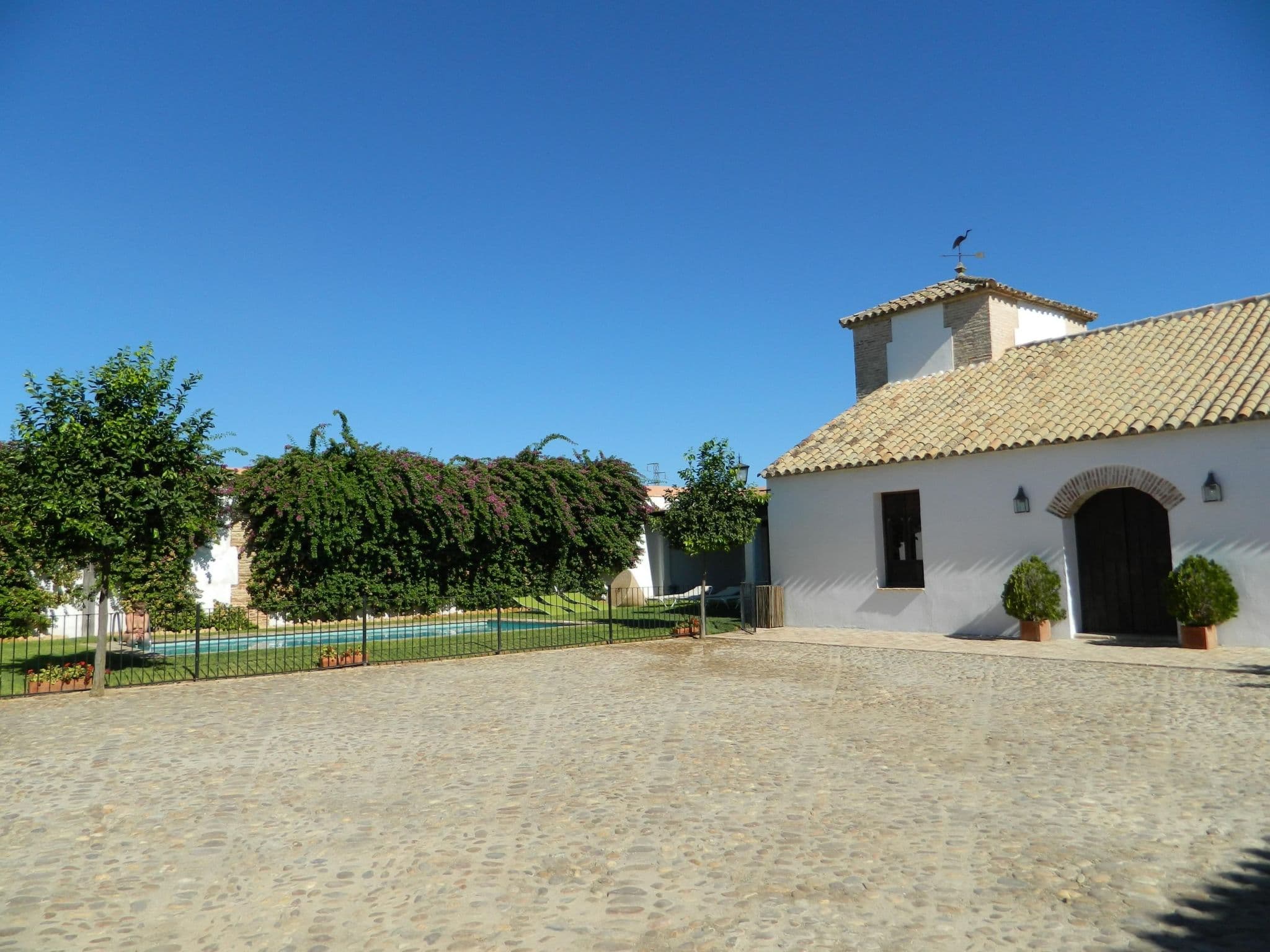 Gallery Image 35