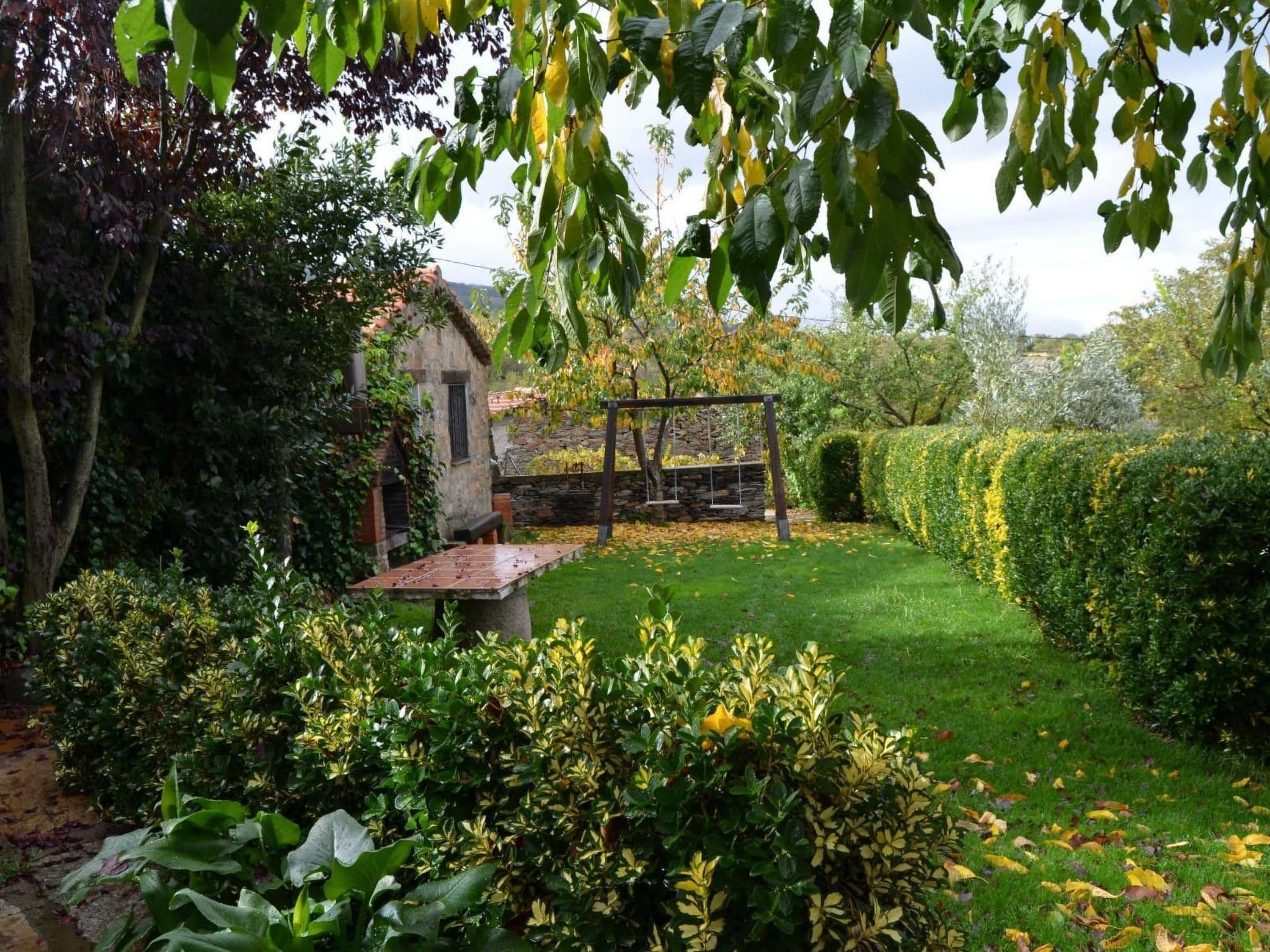 Gallery Image 34