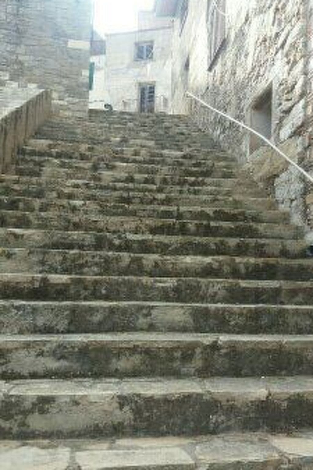 Gallery Image 22
