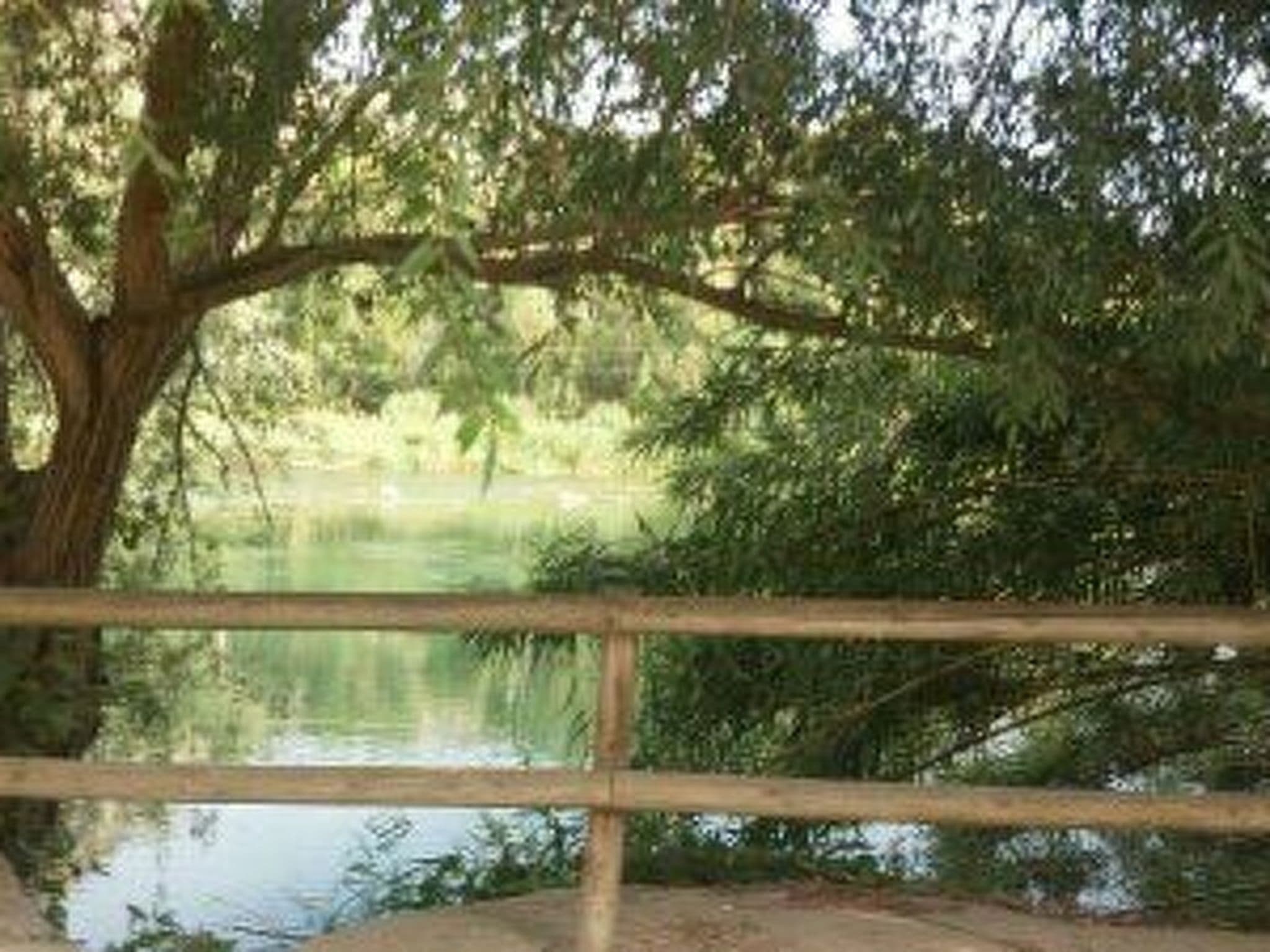Gallery Image 23