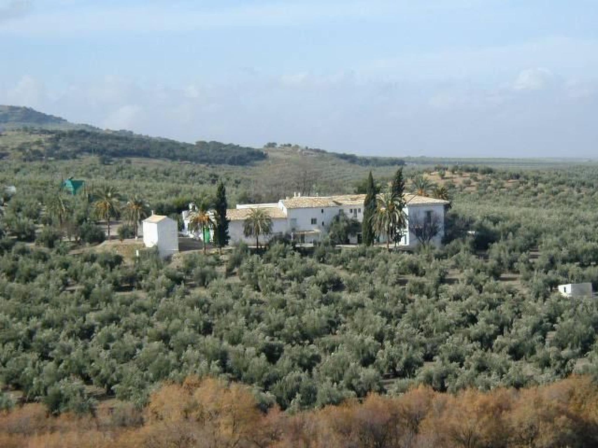 Gallery Image 11