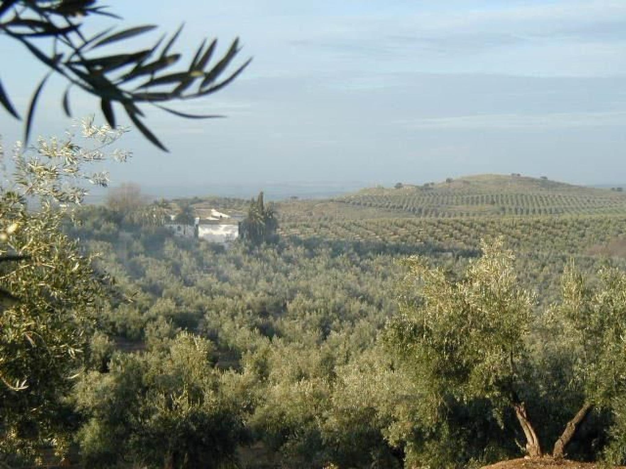 Gallery Image 13