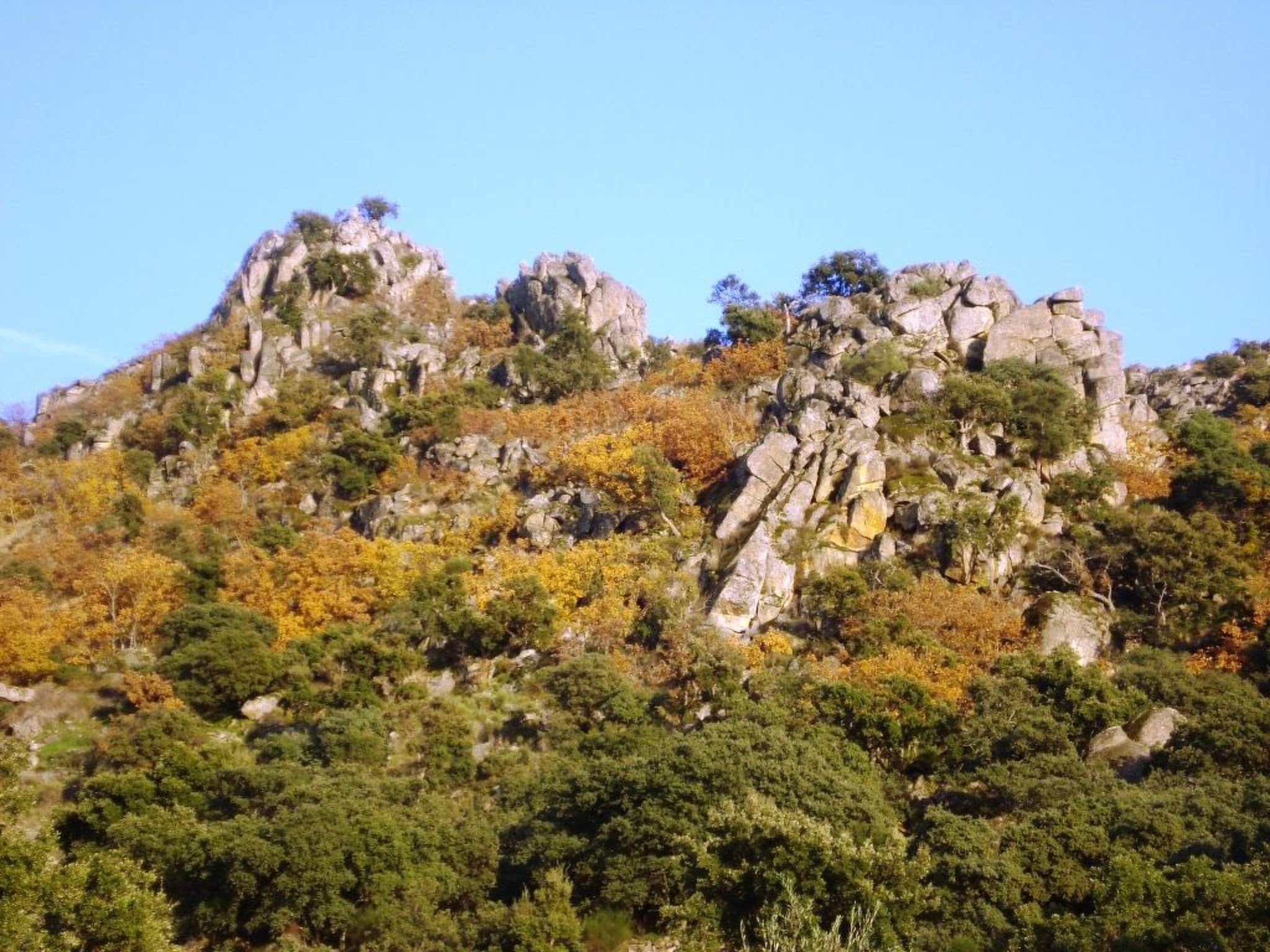 Gallery Image 29