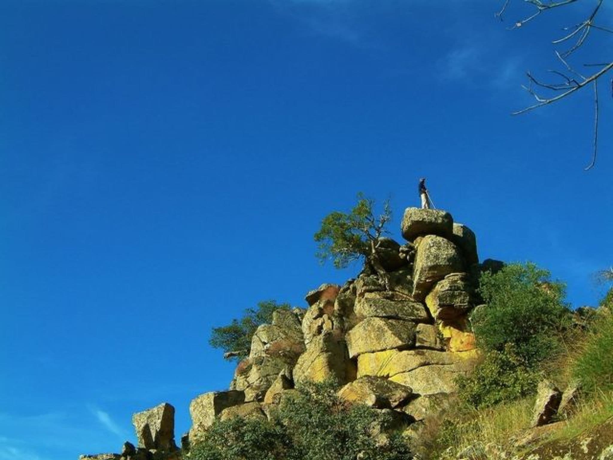 Gallery Image 30