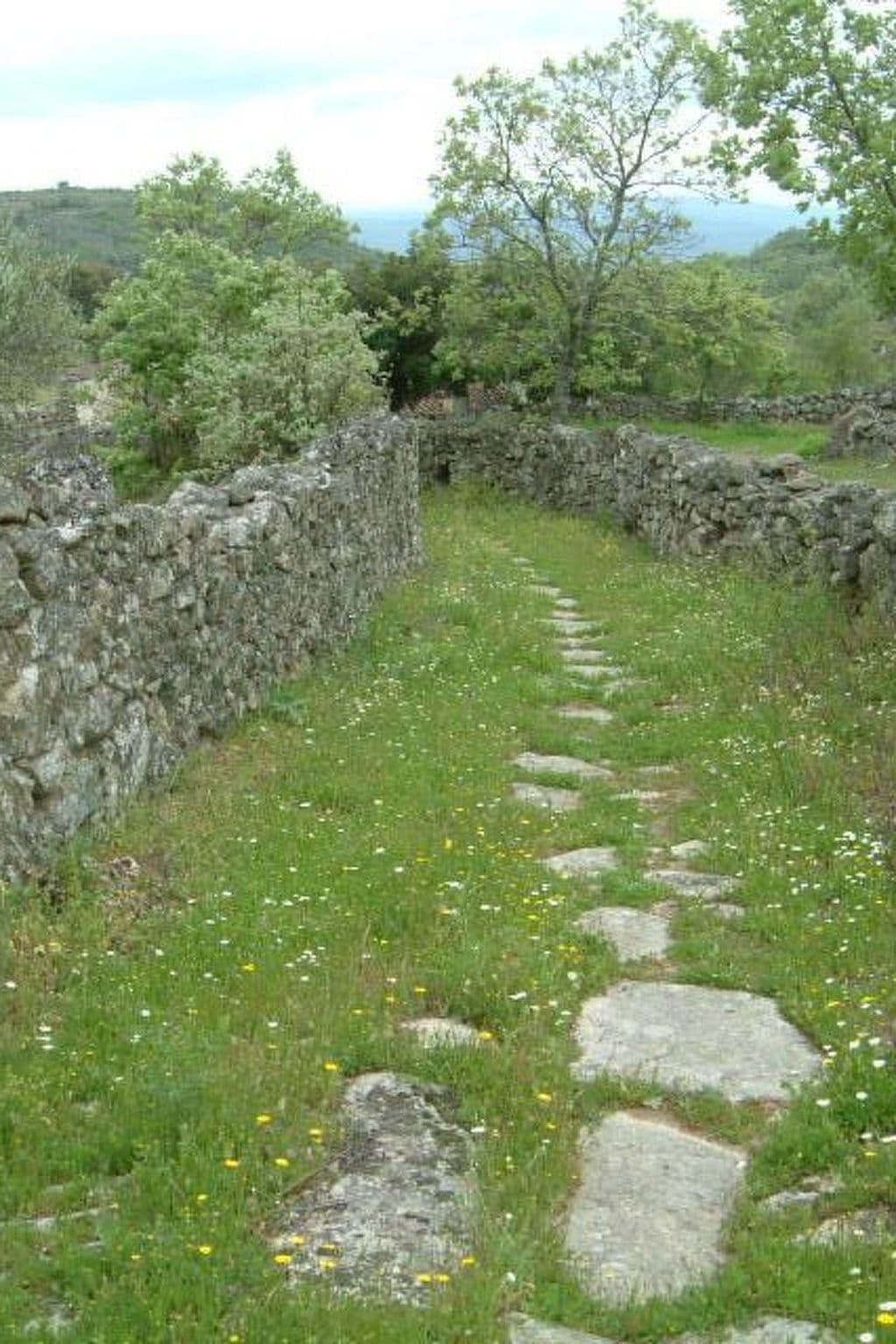 Gallery Image 32