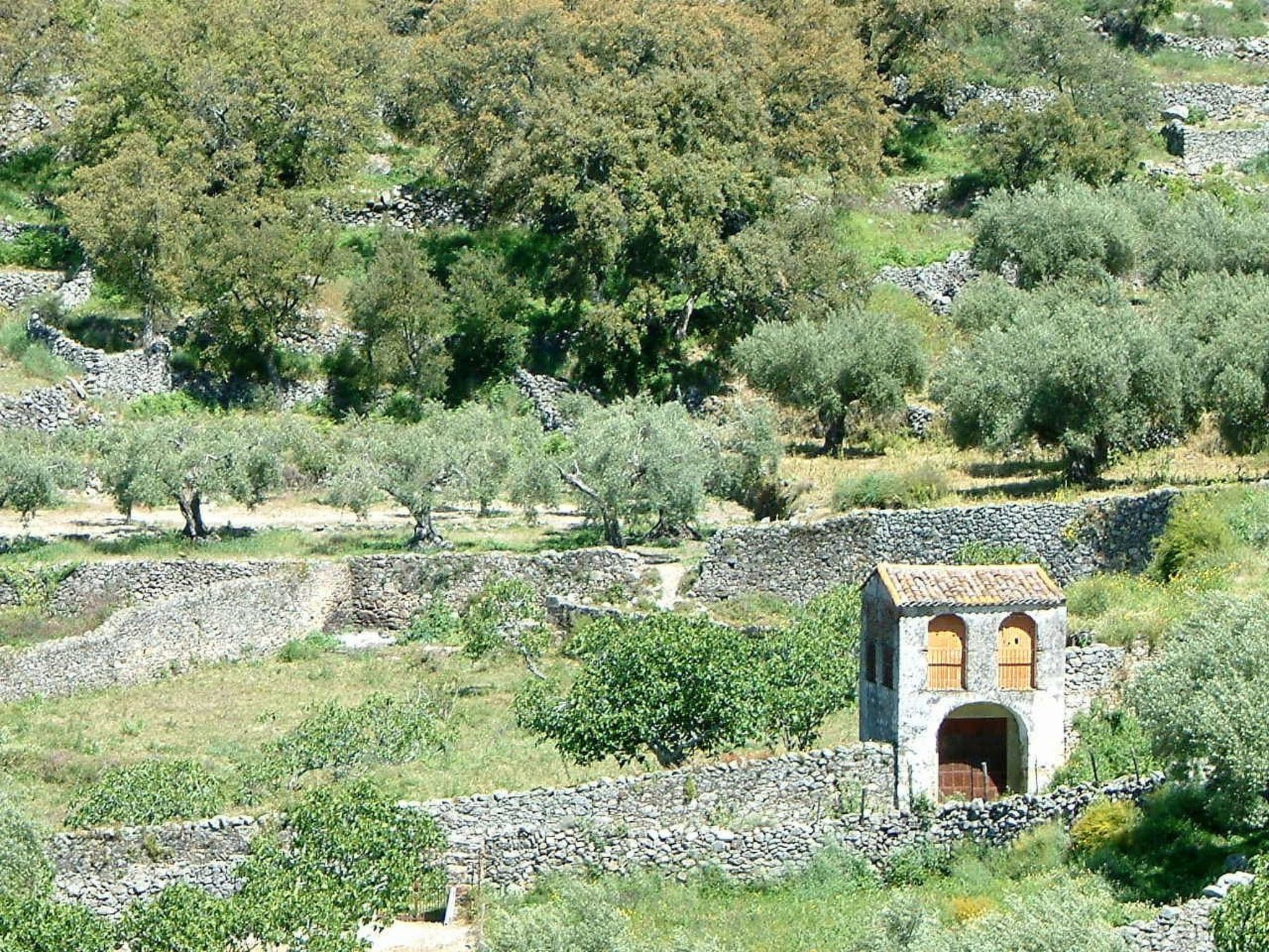 Gallery Image 36