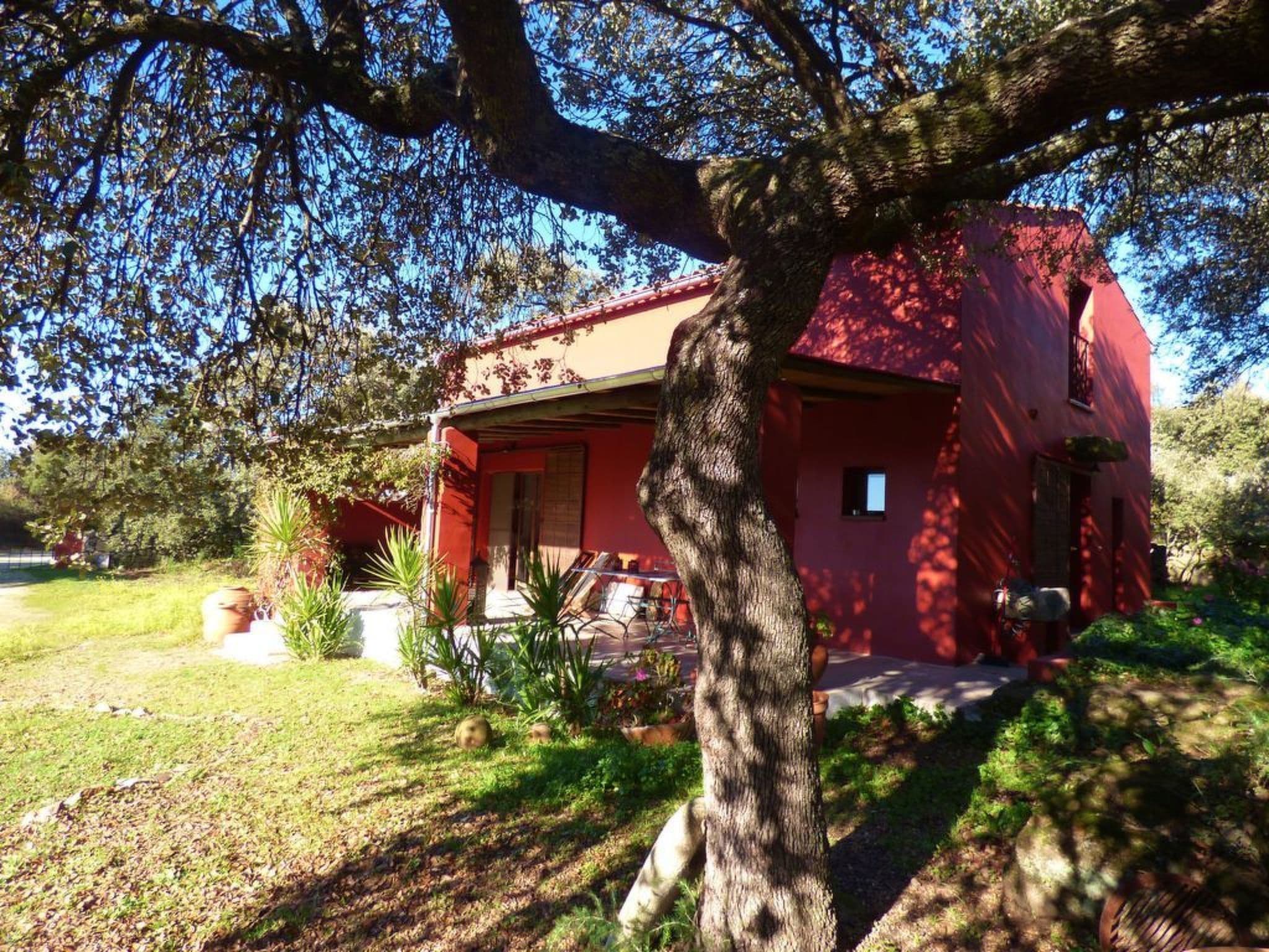 Gallery Image 10