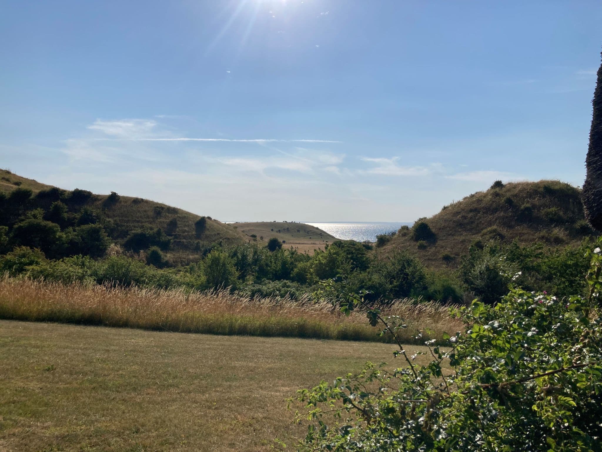 View