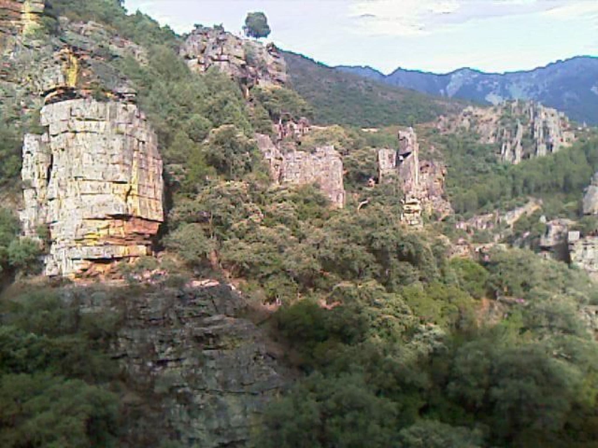 Gallery Image 11