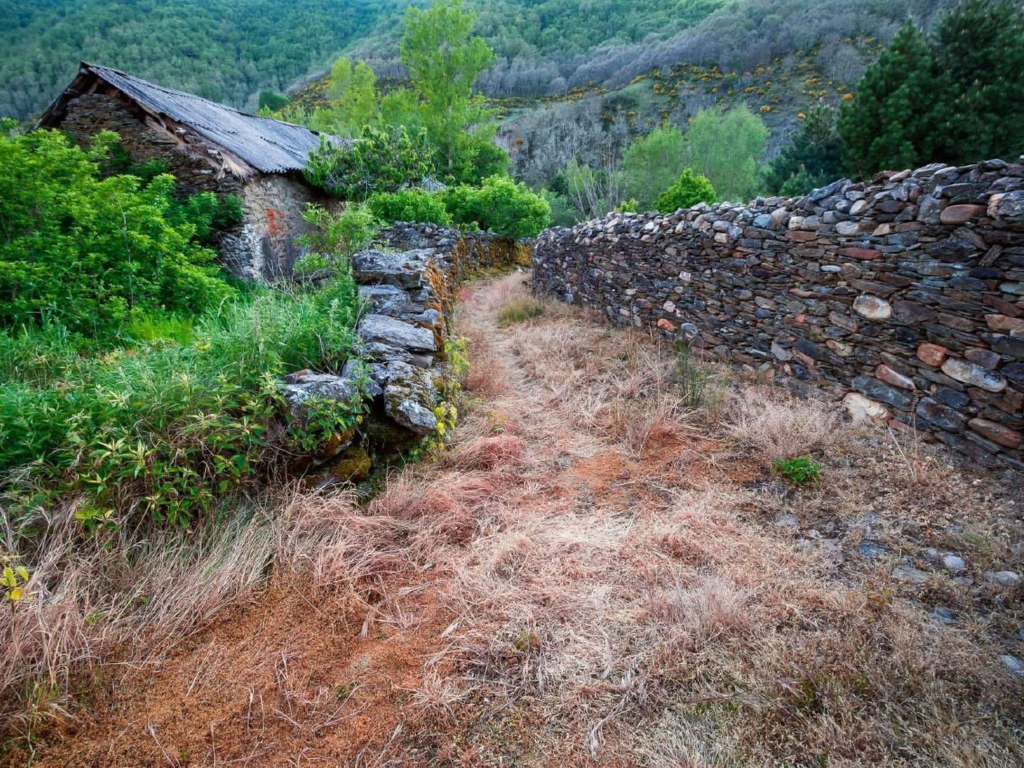 Gallery Image 24
