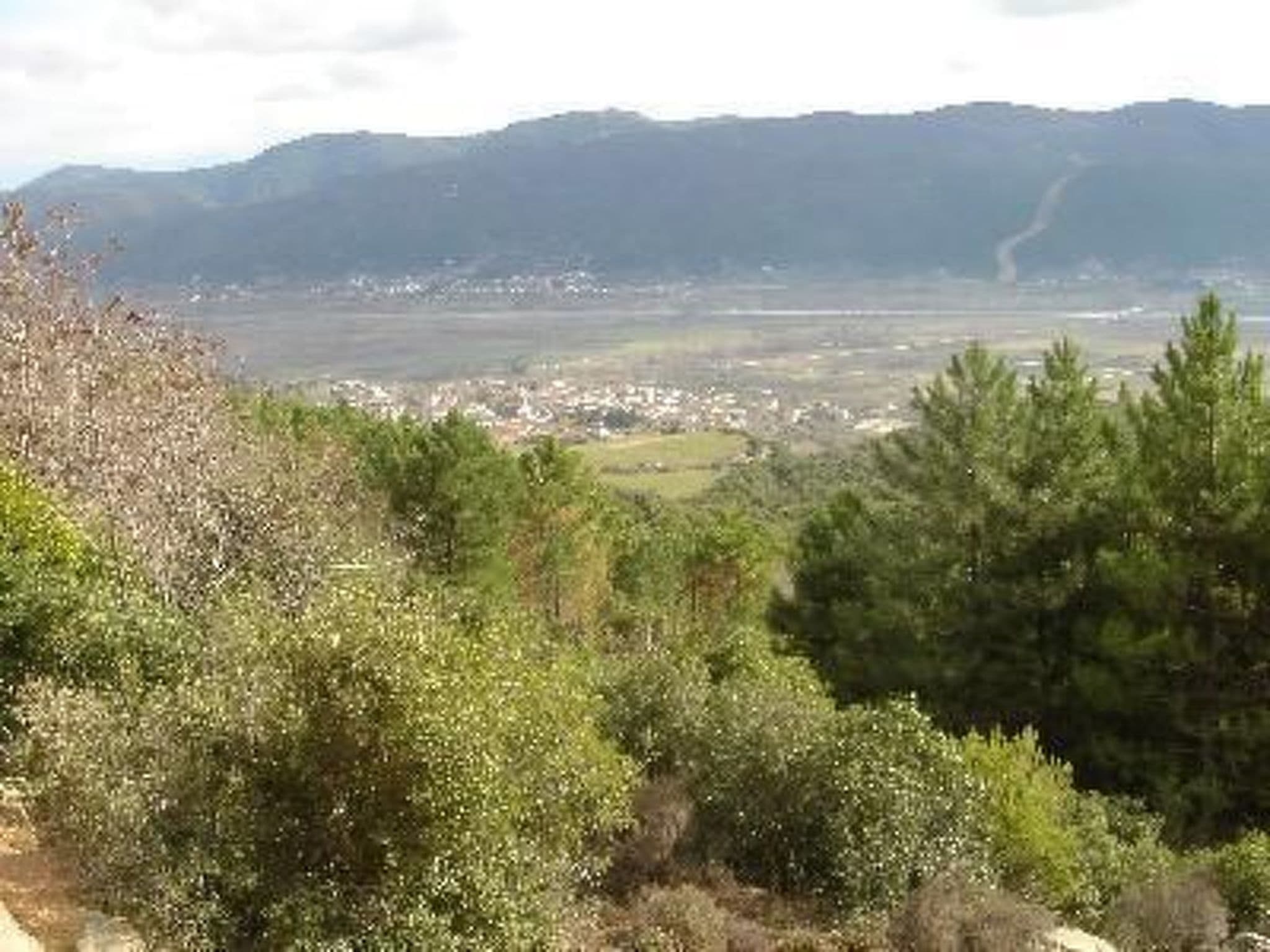 Gallery Image 28