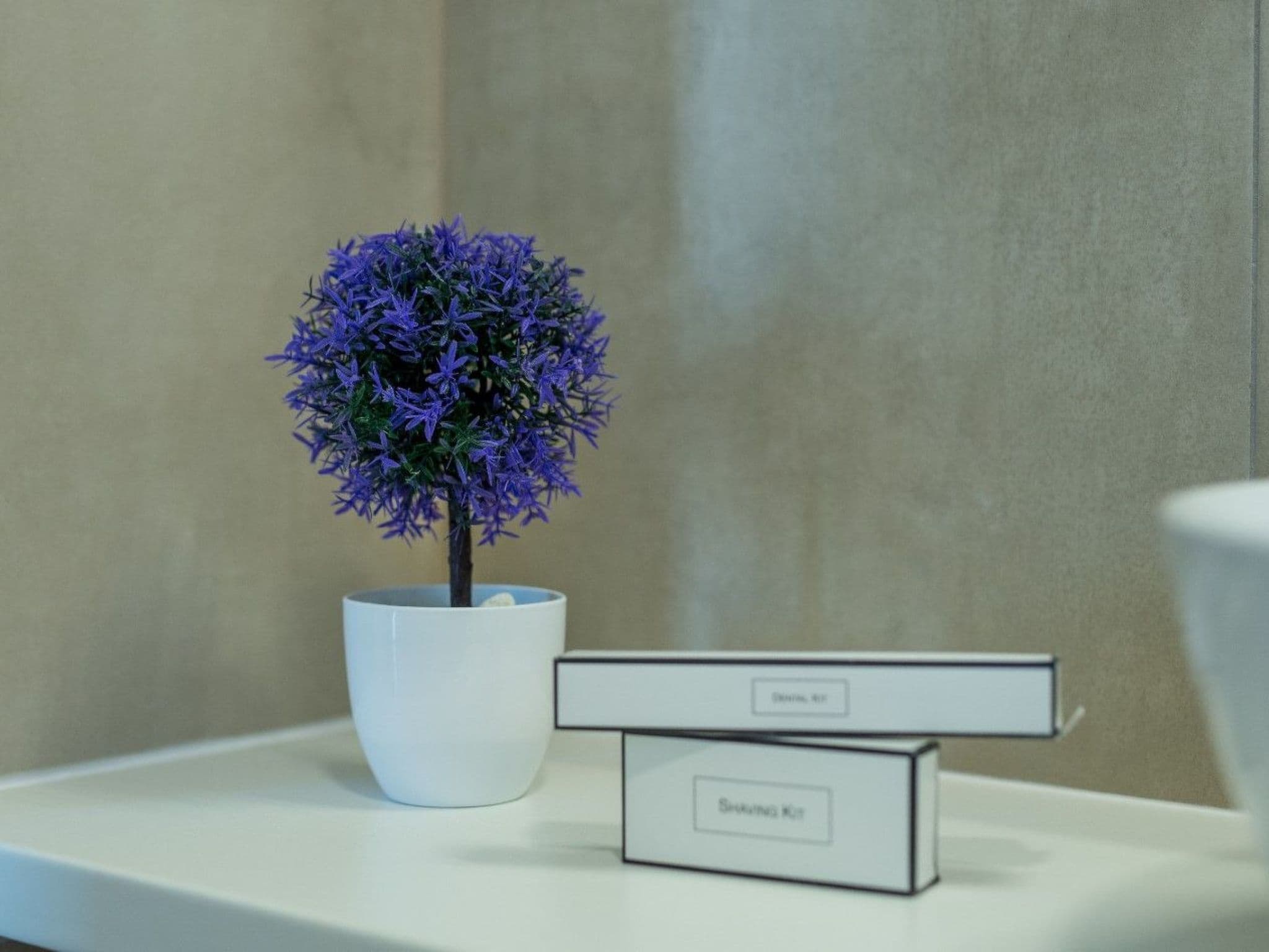 Gallery Image 10