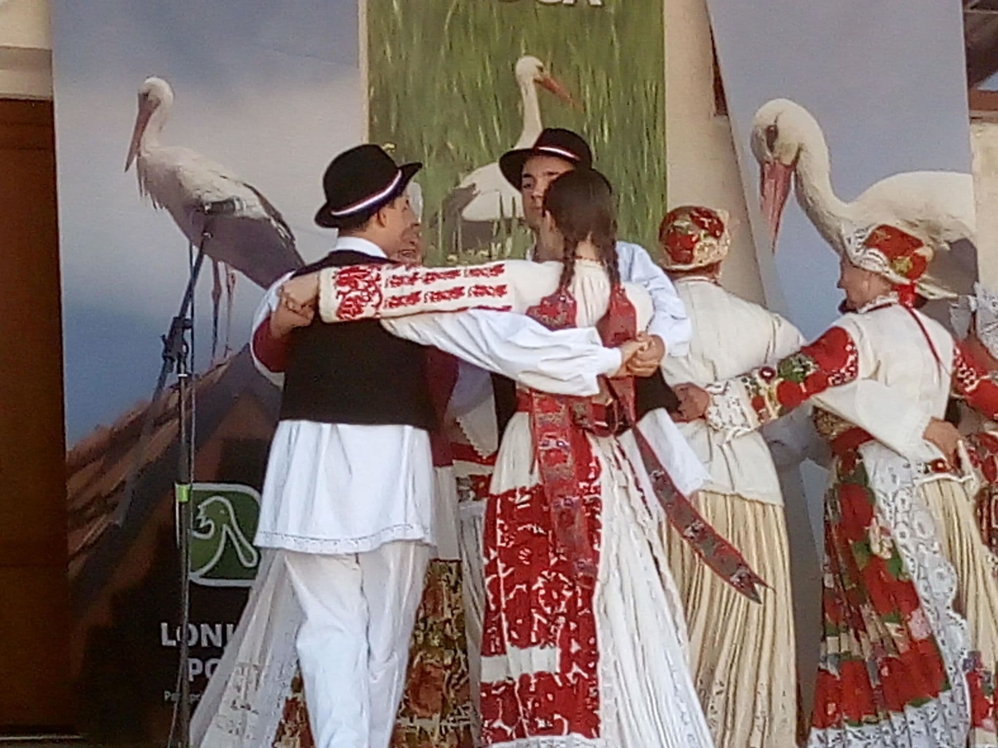 Gallery Image 20