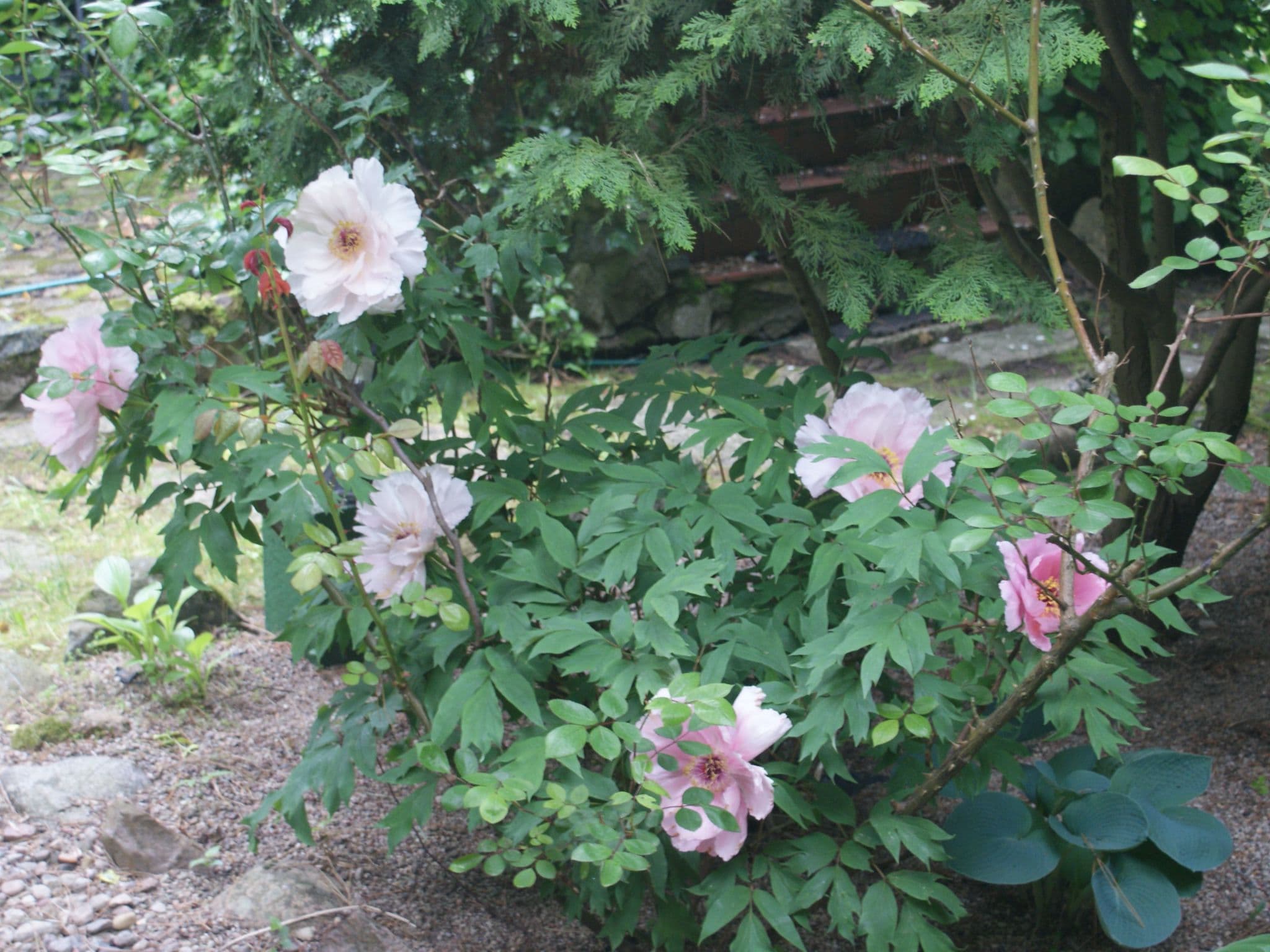 Gallery Image 9