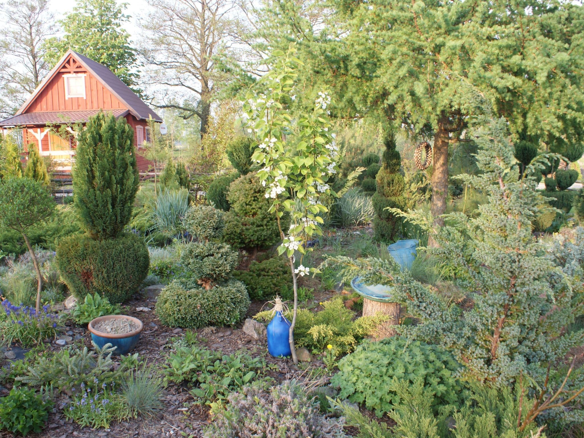 Gallery Image 39