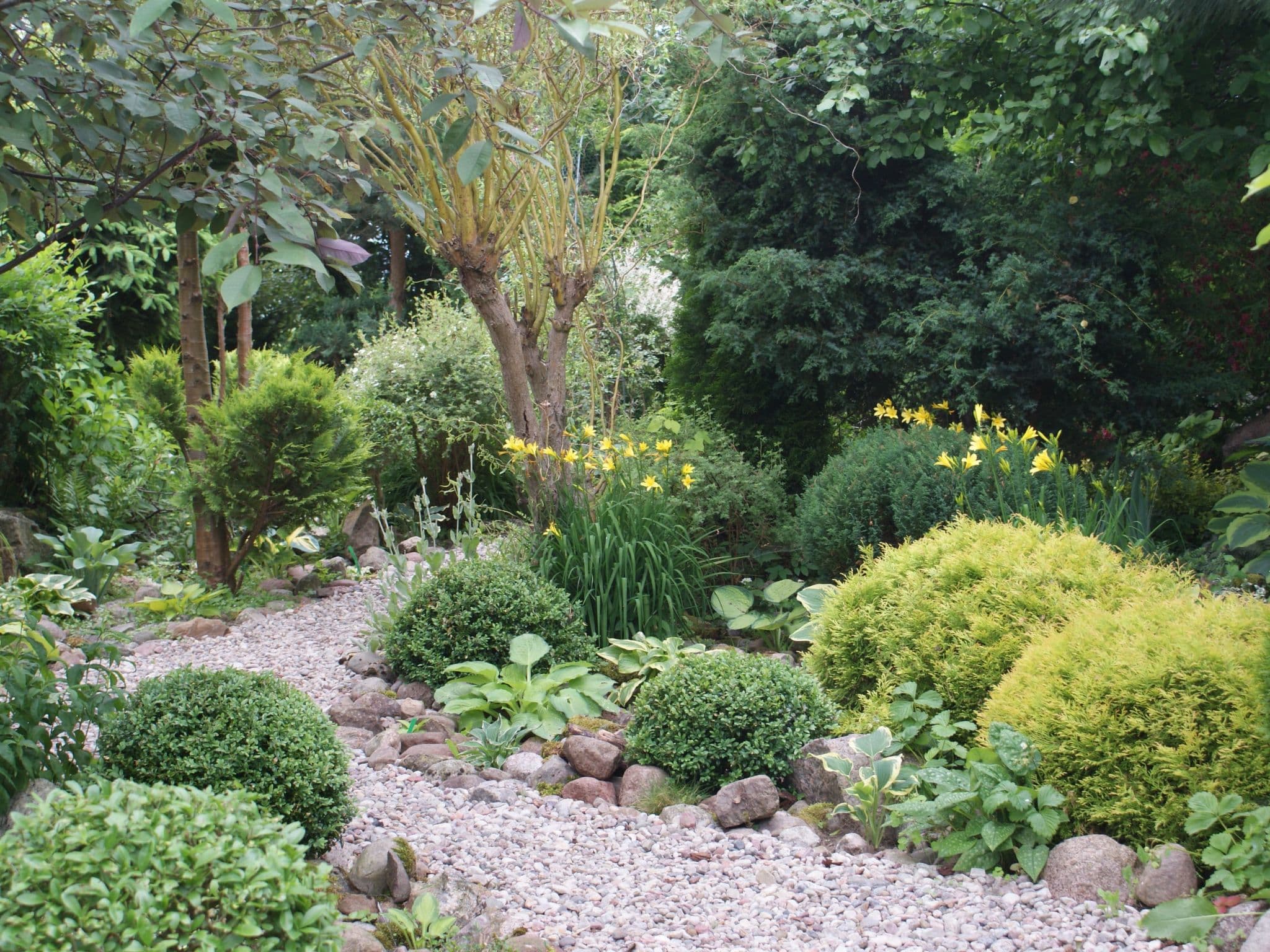 Gallery Image 41