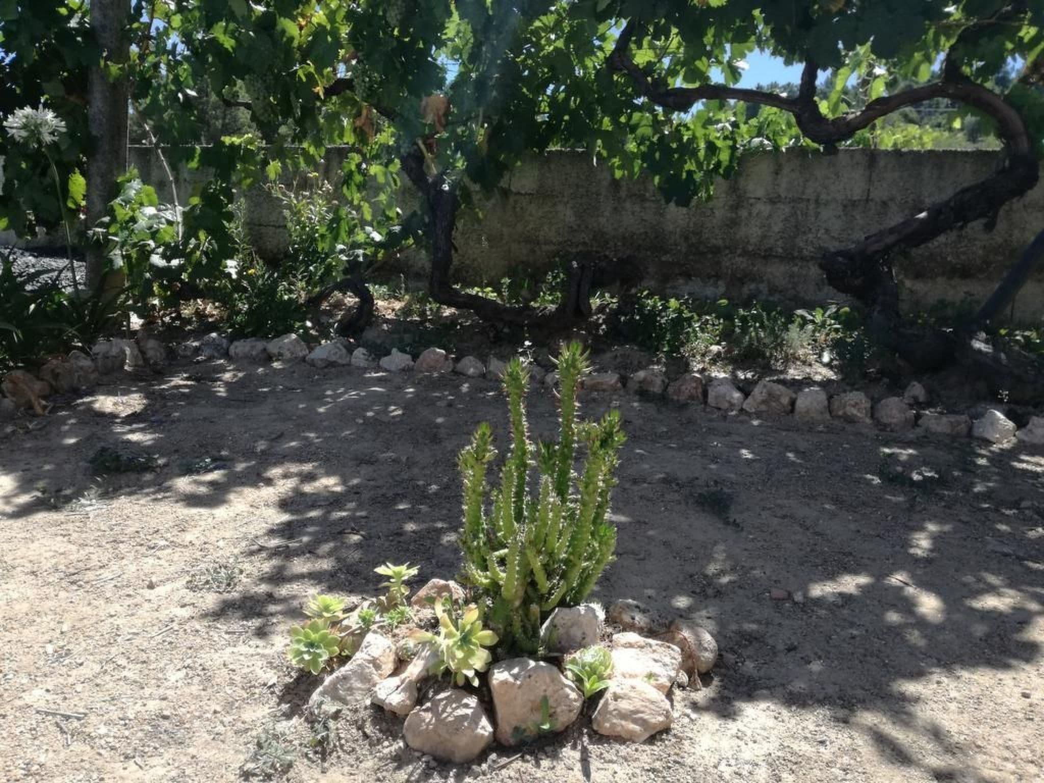 Gallery Image 38