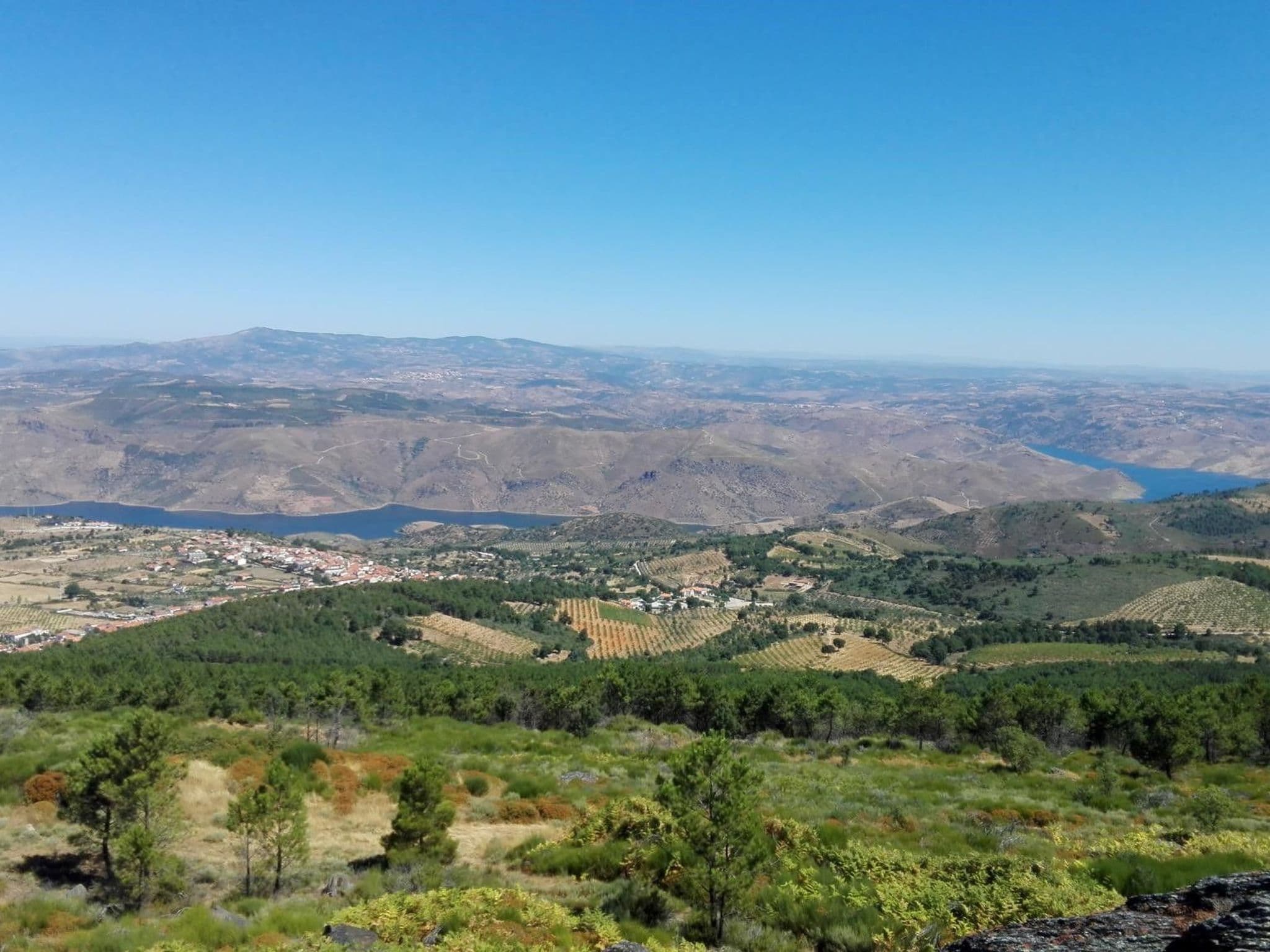 View