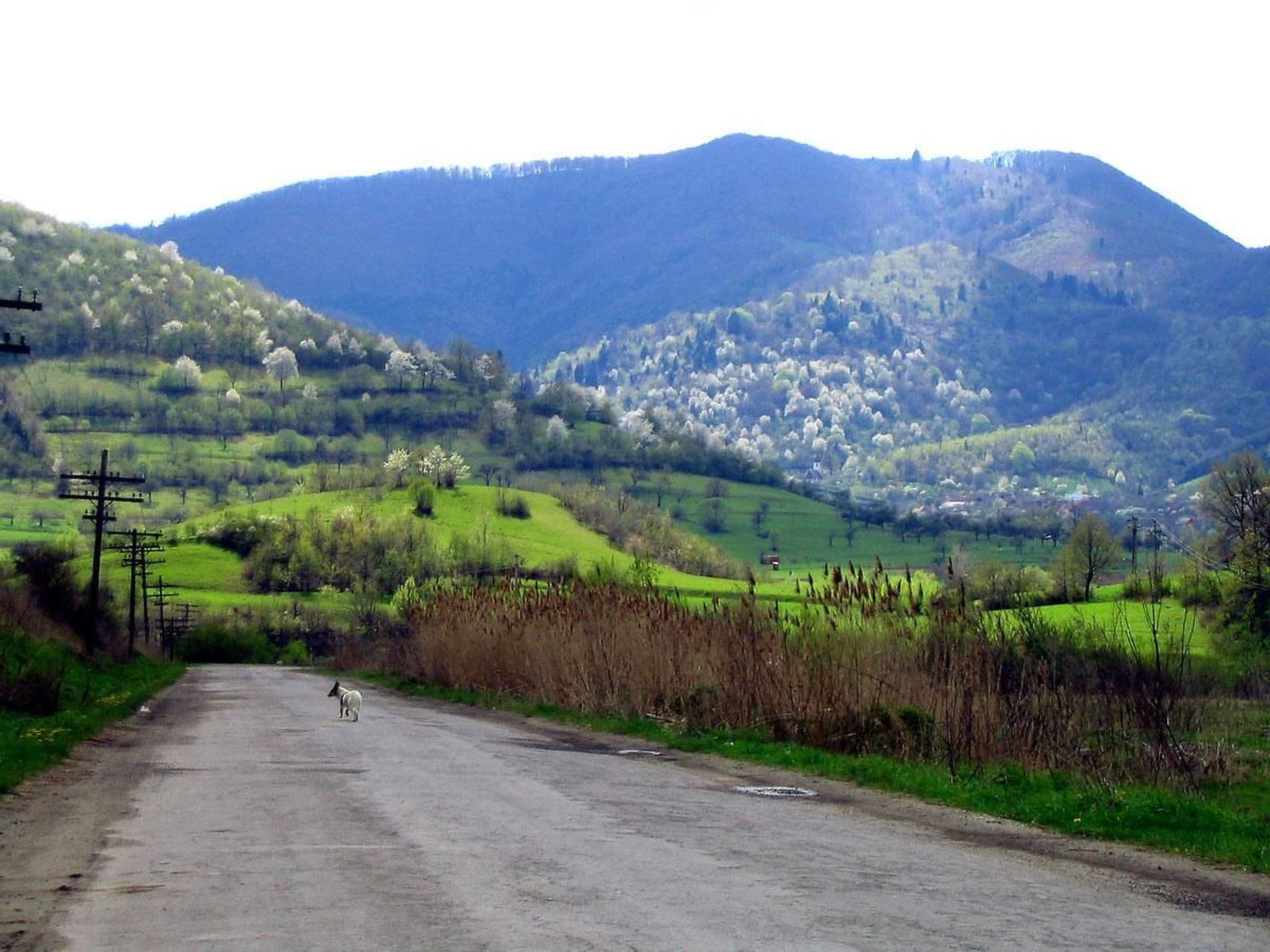 View