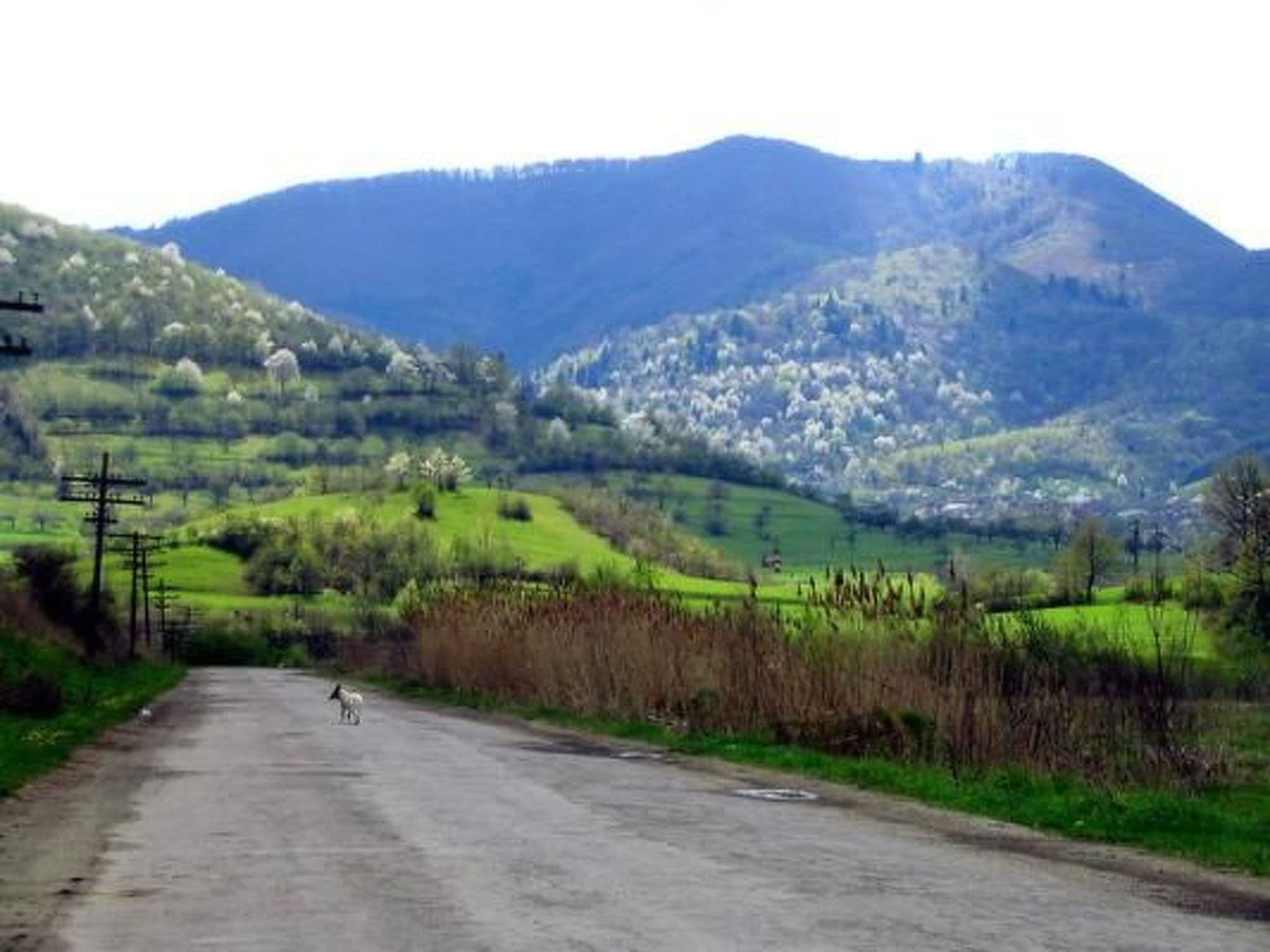 View