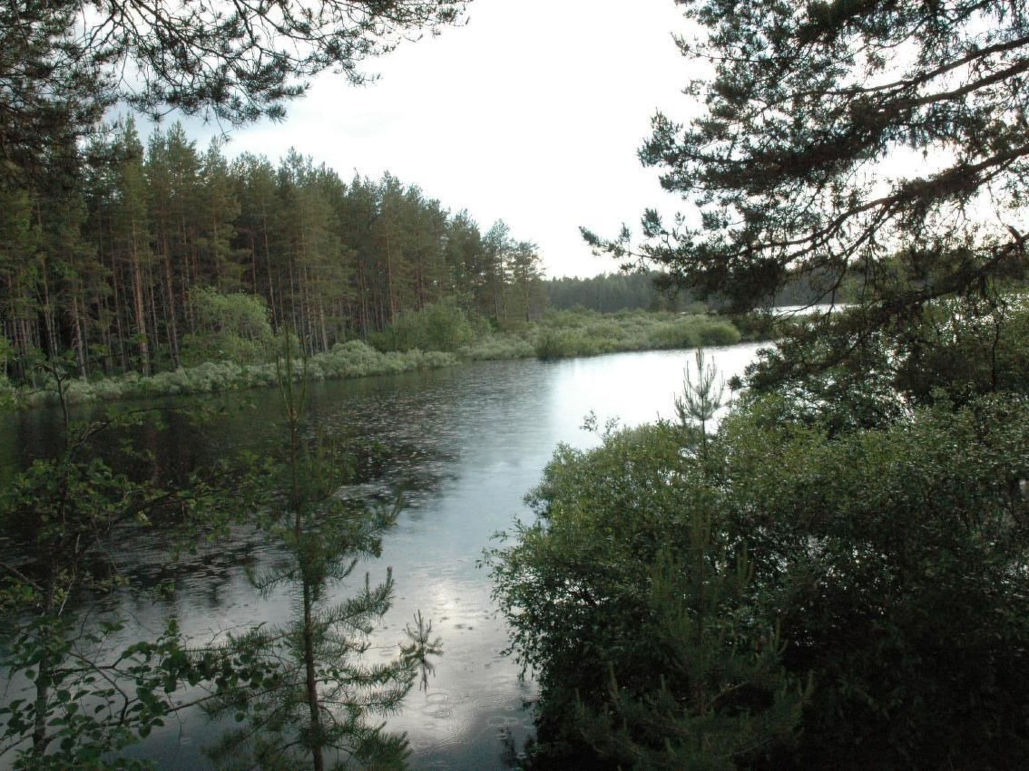 Gallery Image 24