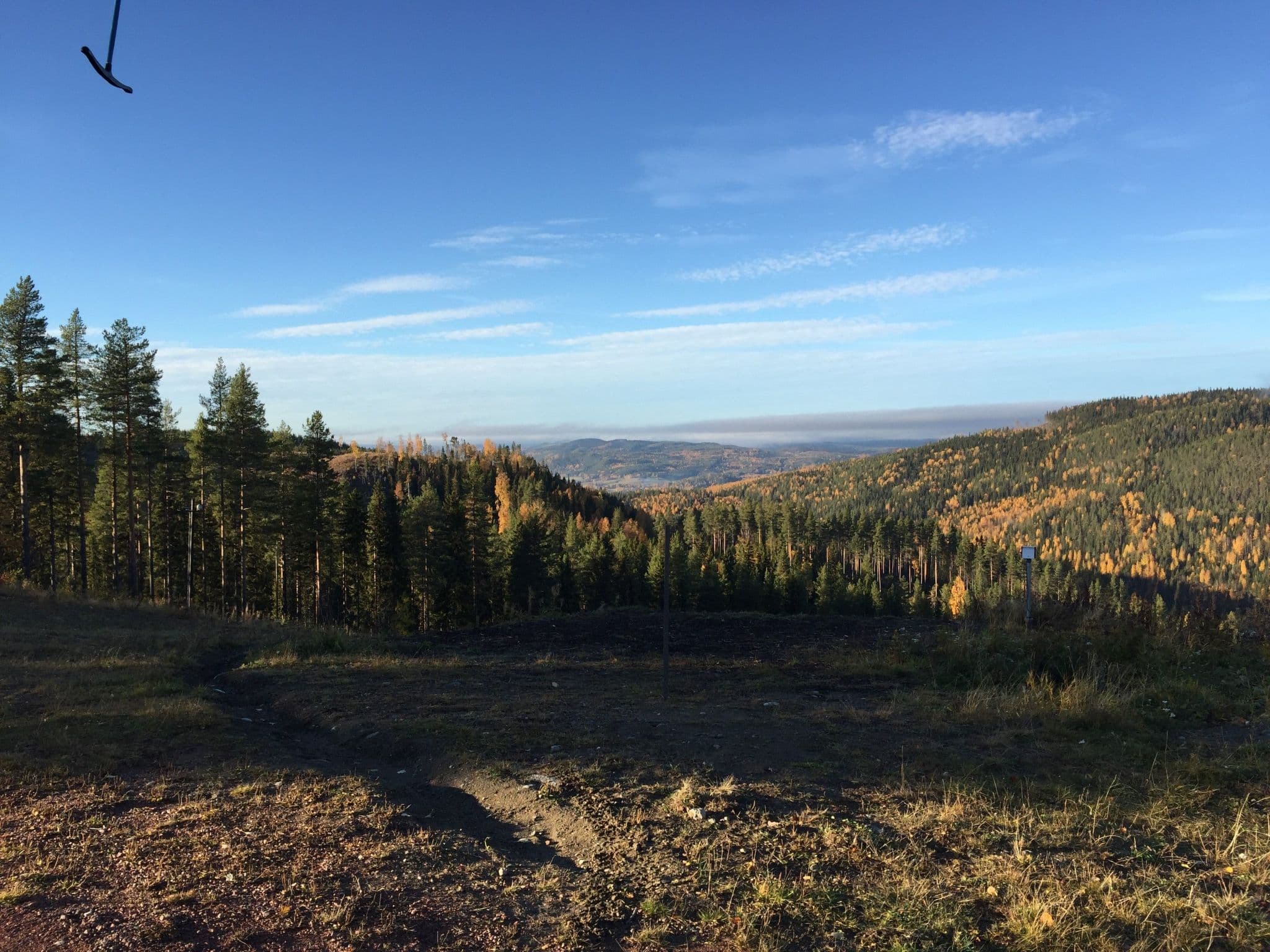 View