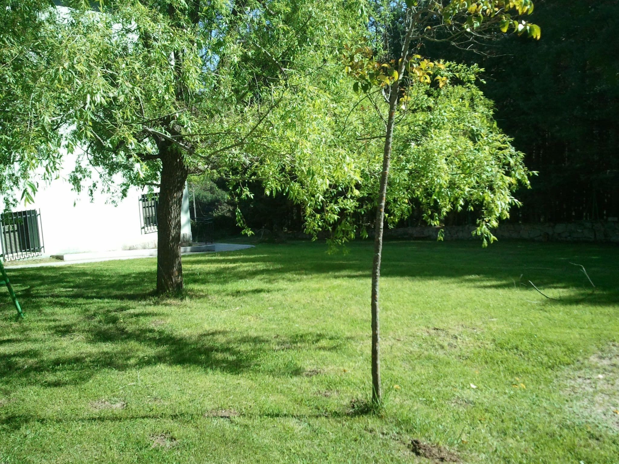 Gallery Image 16